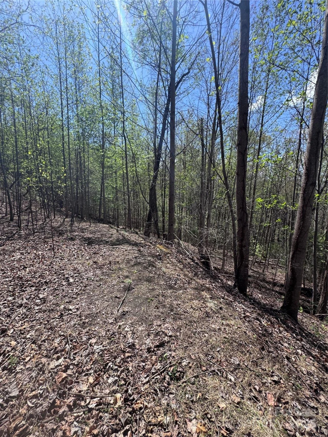 0 High Pines Loop #158 - Photo 8