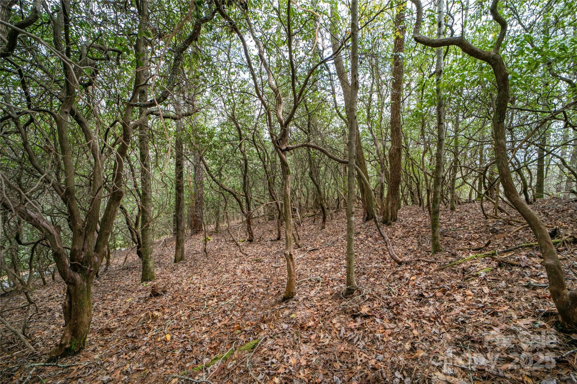 Lot 131 Thunder Road - Photo 13