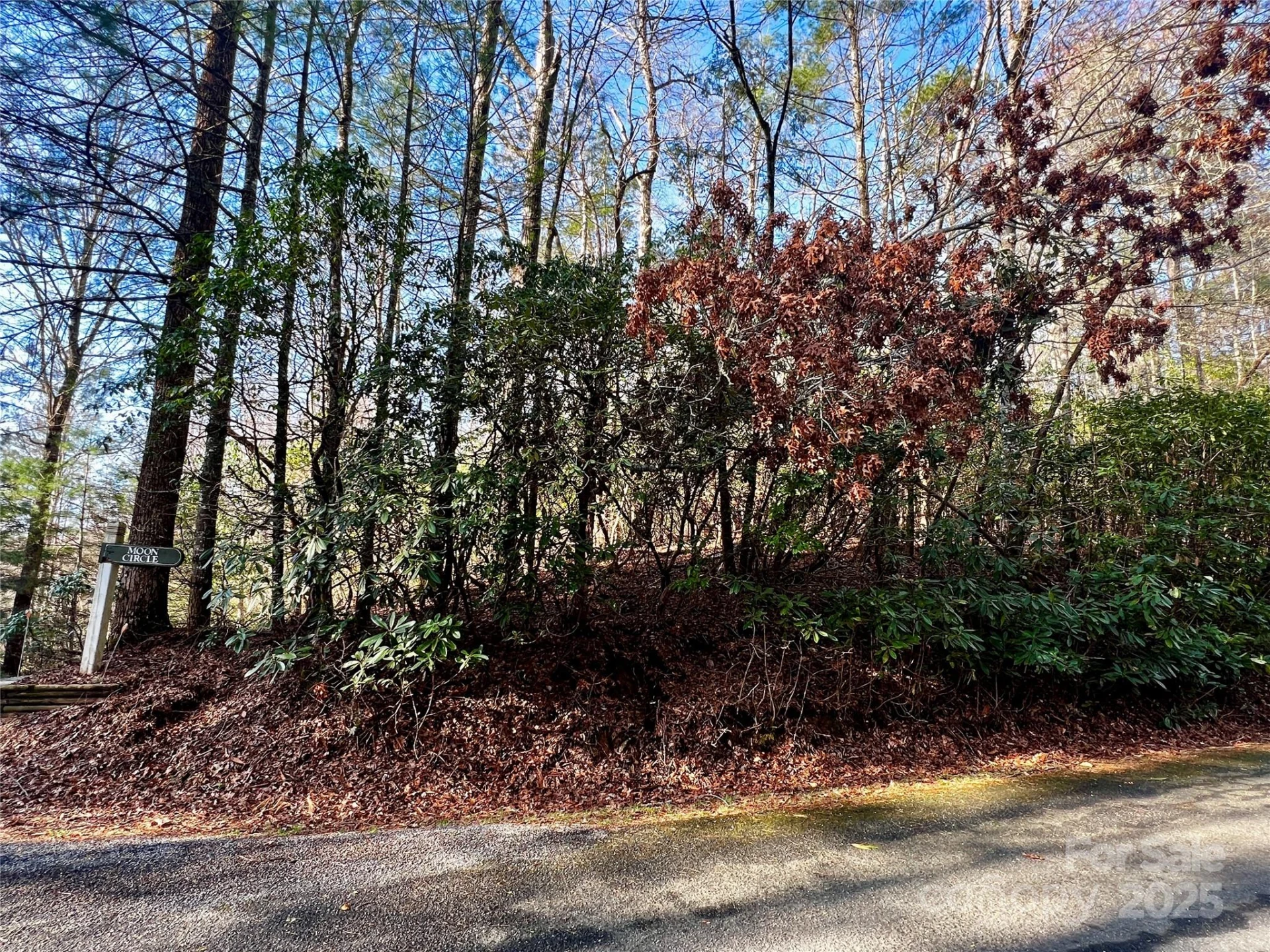 Lot 131 Thunder Road - Photo 5