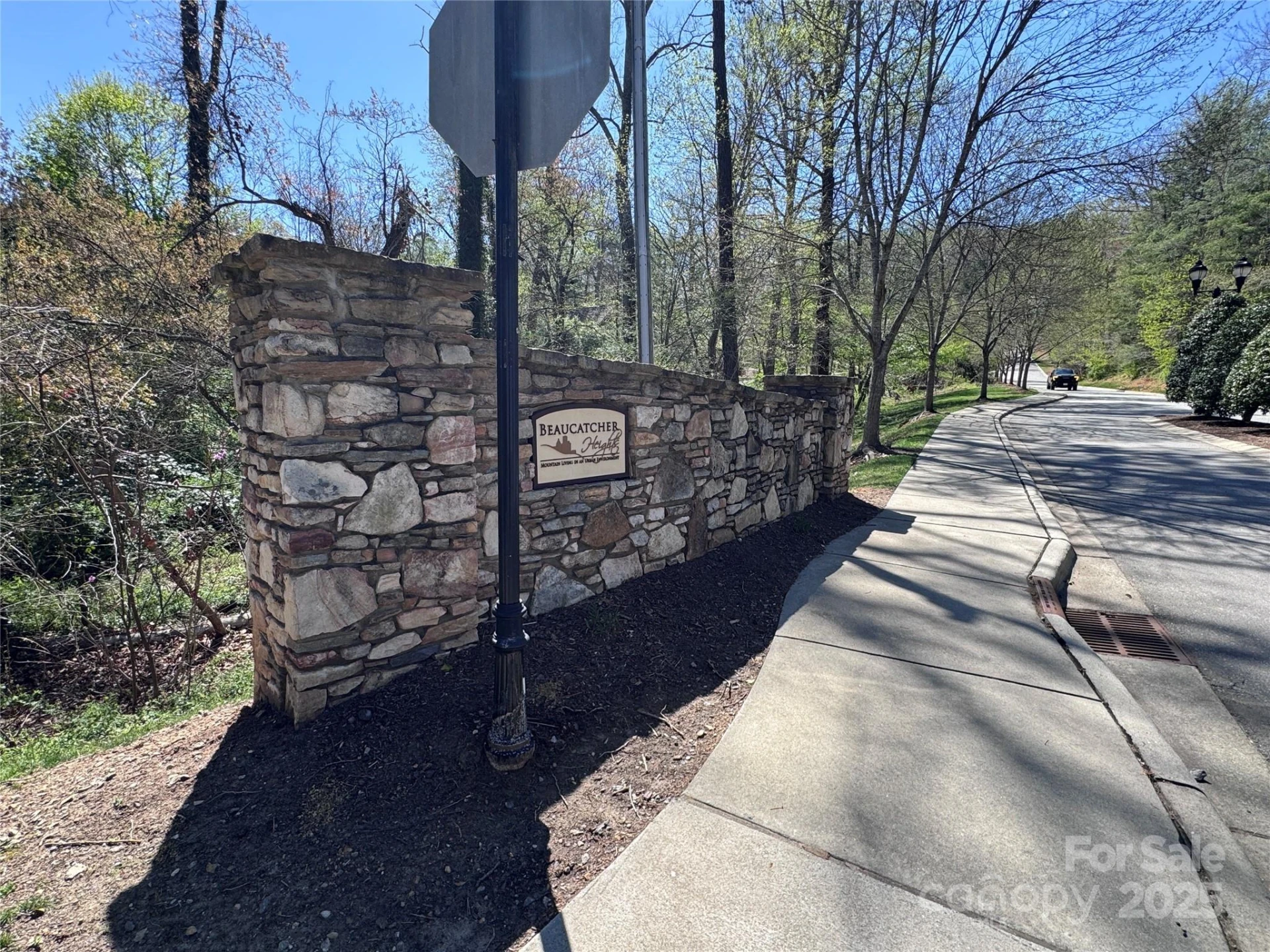 44 Samuel Ashe Drive - Photo 9