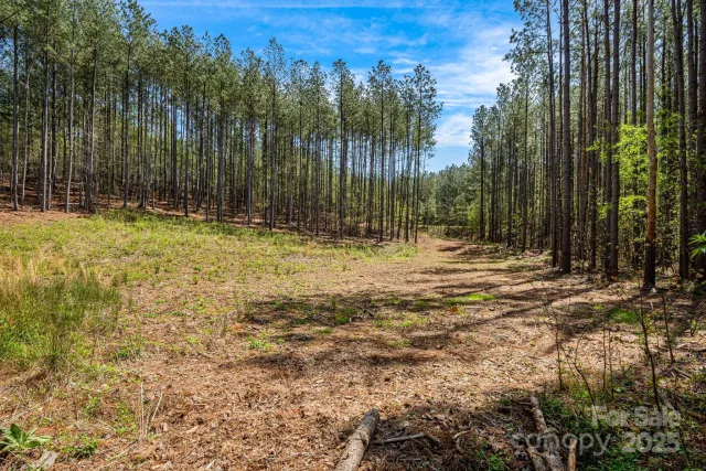 19 Sunset Drive, Mill Spring, NC, 28756