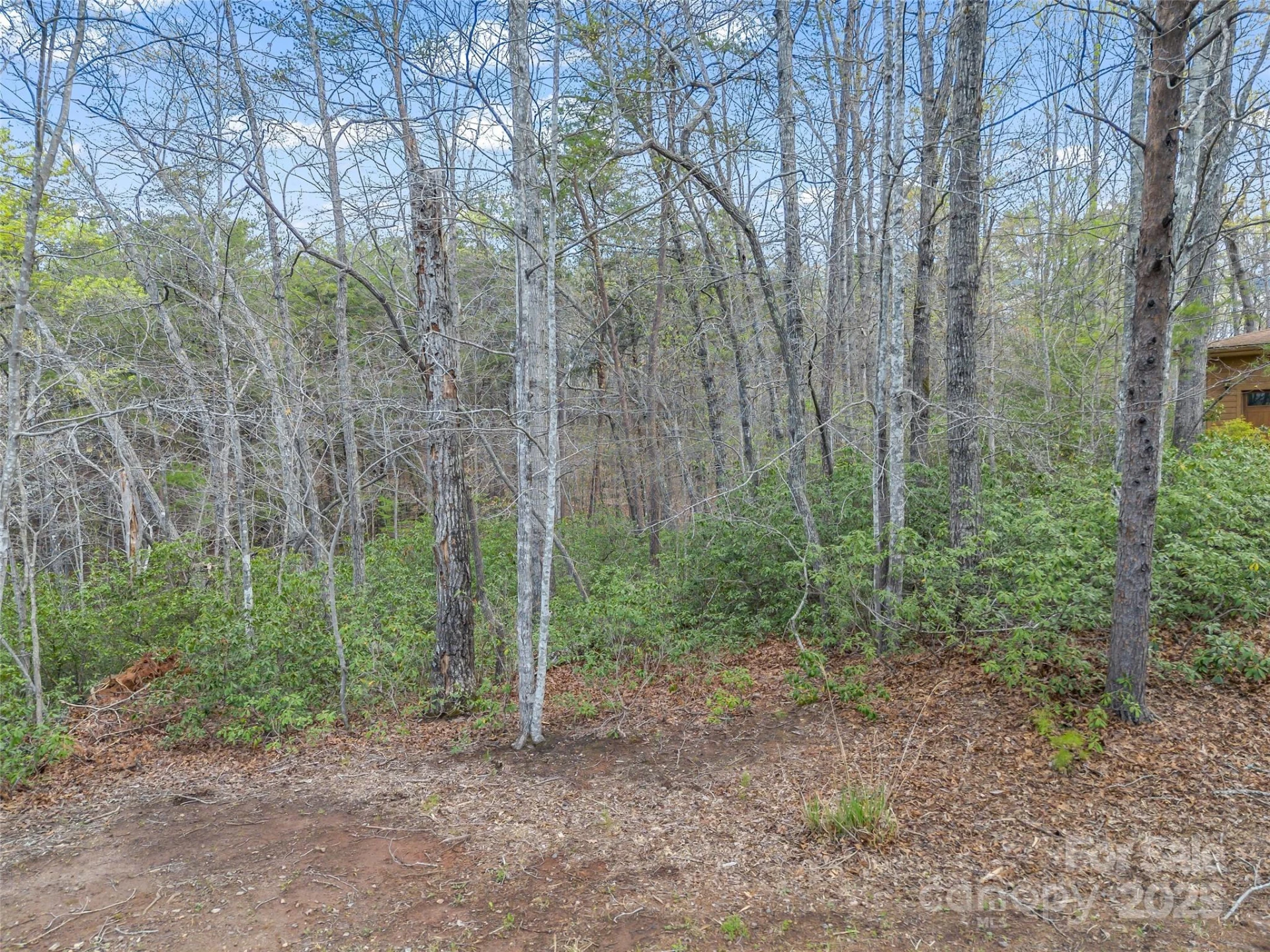 00 Whiteside Court #83 - Photo 7