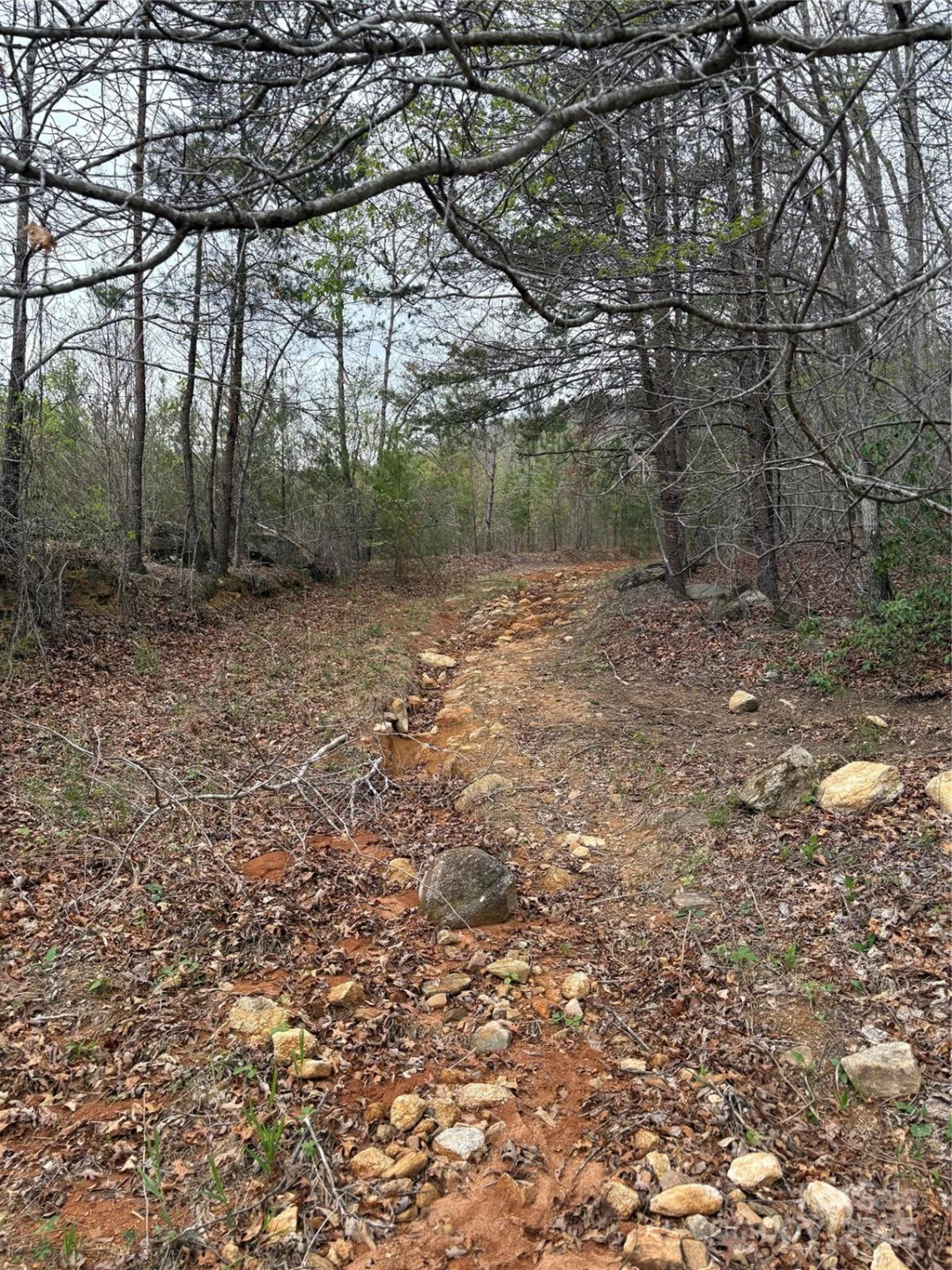 0 Rose Hollow Drive #Tract 1 - Photo 4