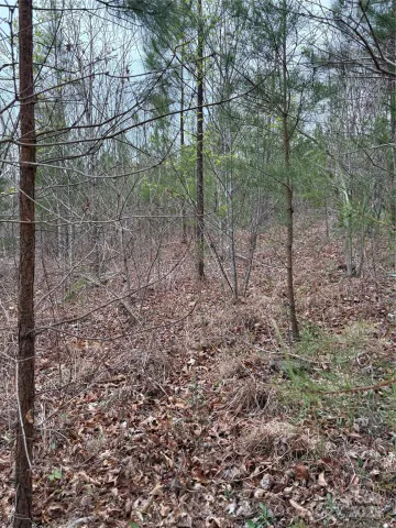 0 Rose Hollow Drive, Mill Spring, NC, 28756
