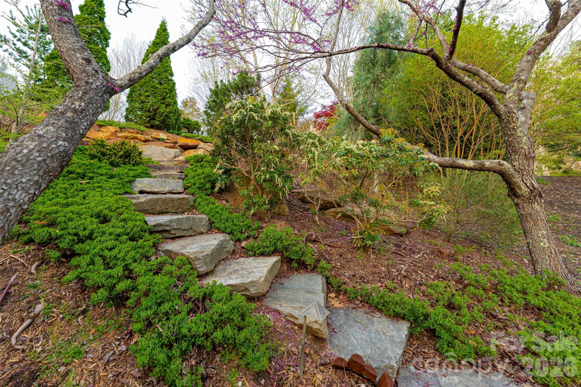 256 Senator Reynolds Road - Photo 39