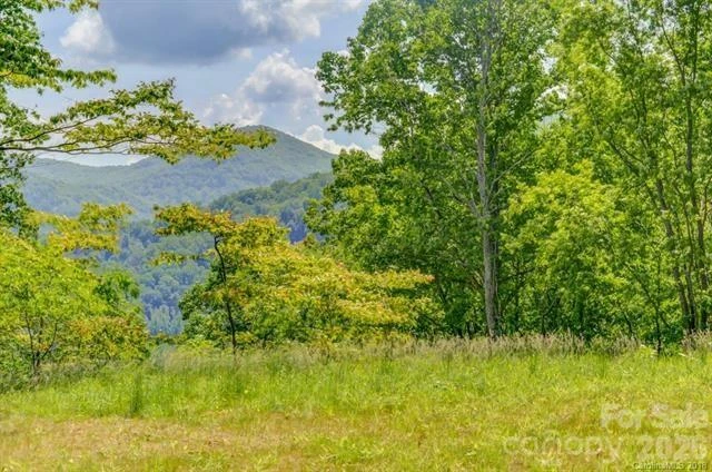 Lot 69 Whisper Mountain Drive - Photo 3