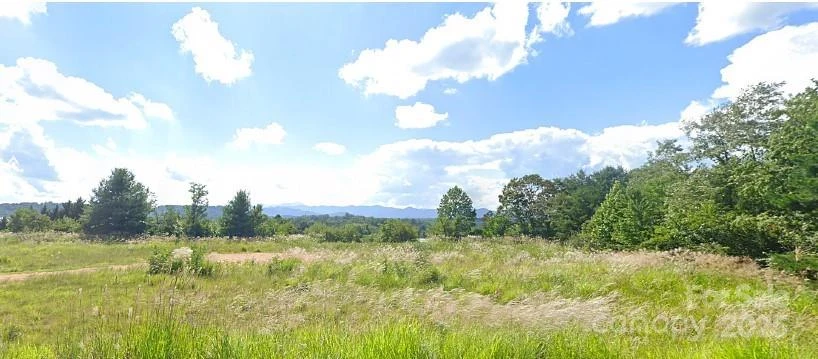 2487 Sweeten Creek Road - Photo 4