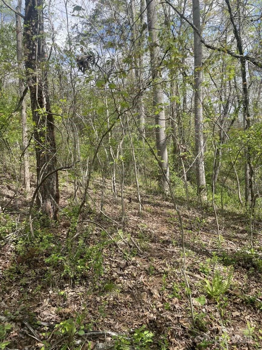 151 Richmond Ridge Road - Photo 7