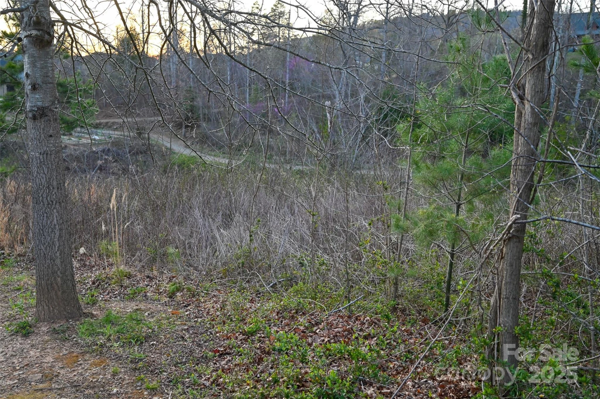 64 French Willow Drive - Photo 20