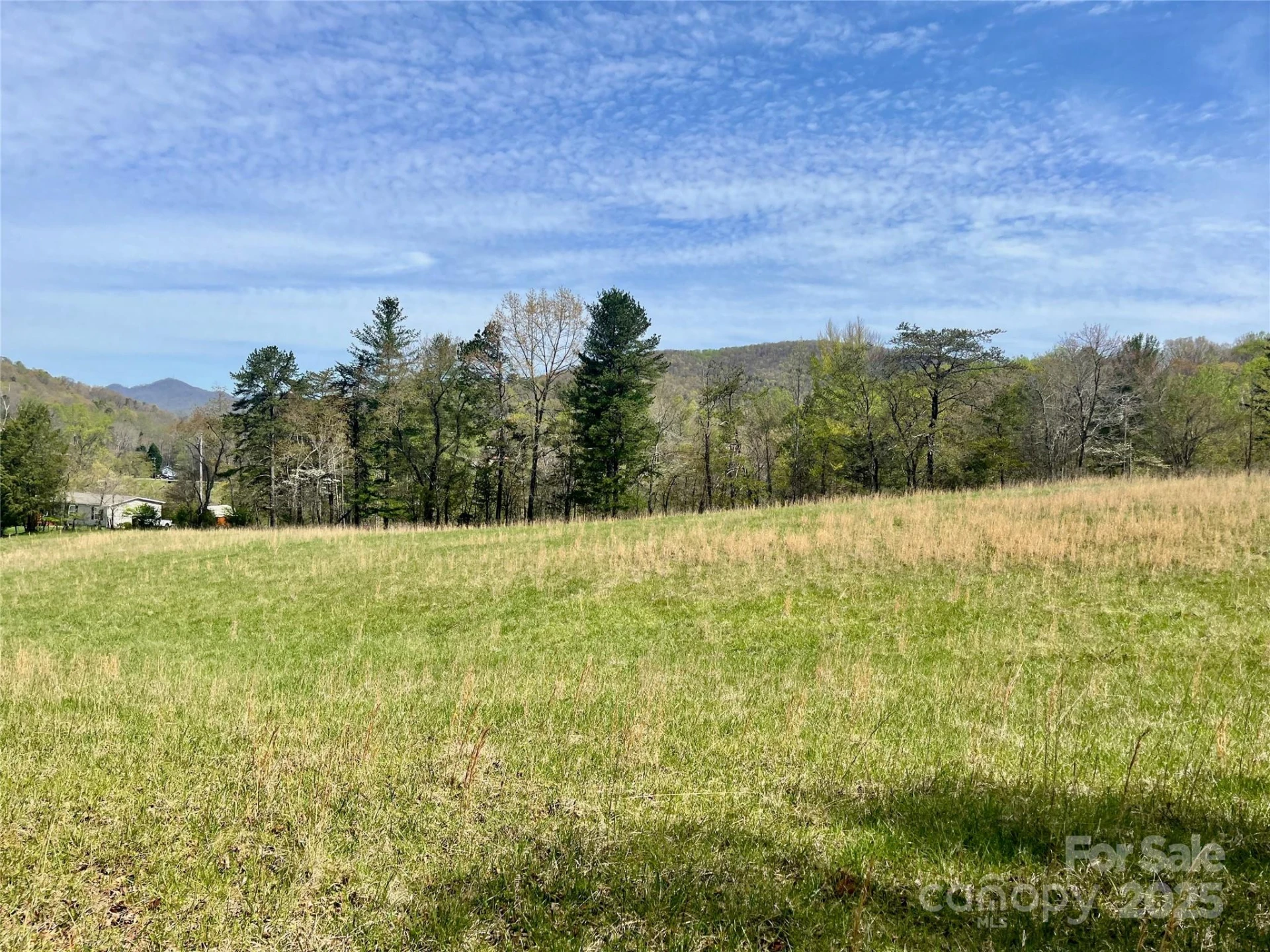 99999 Lollis Road - Photo 2