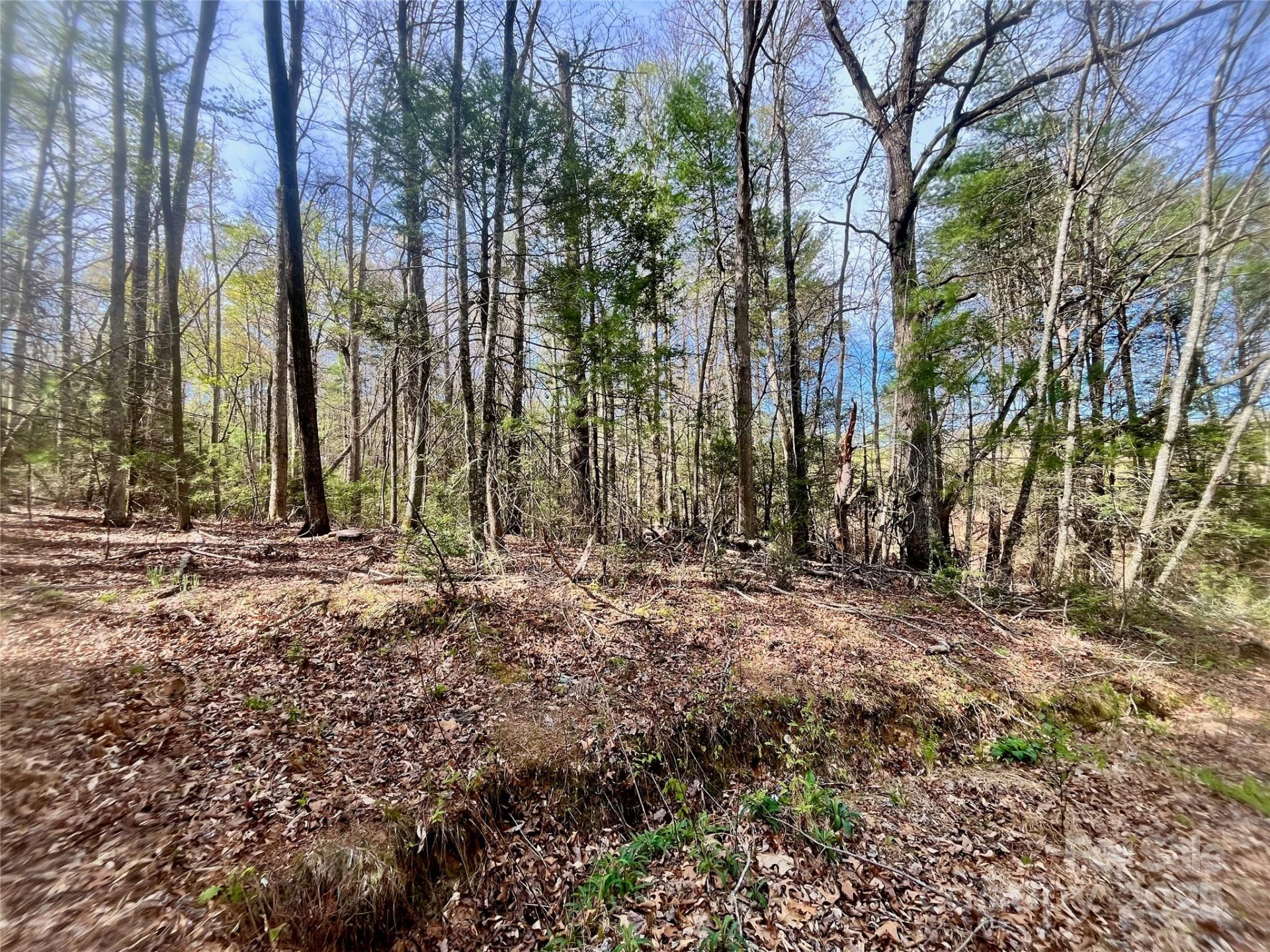 99999 Lollis Road - Photo 18
