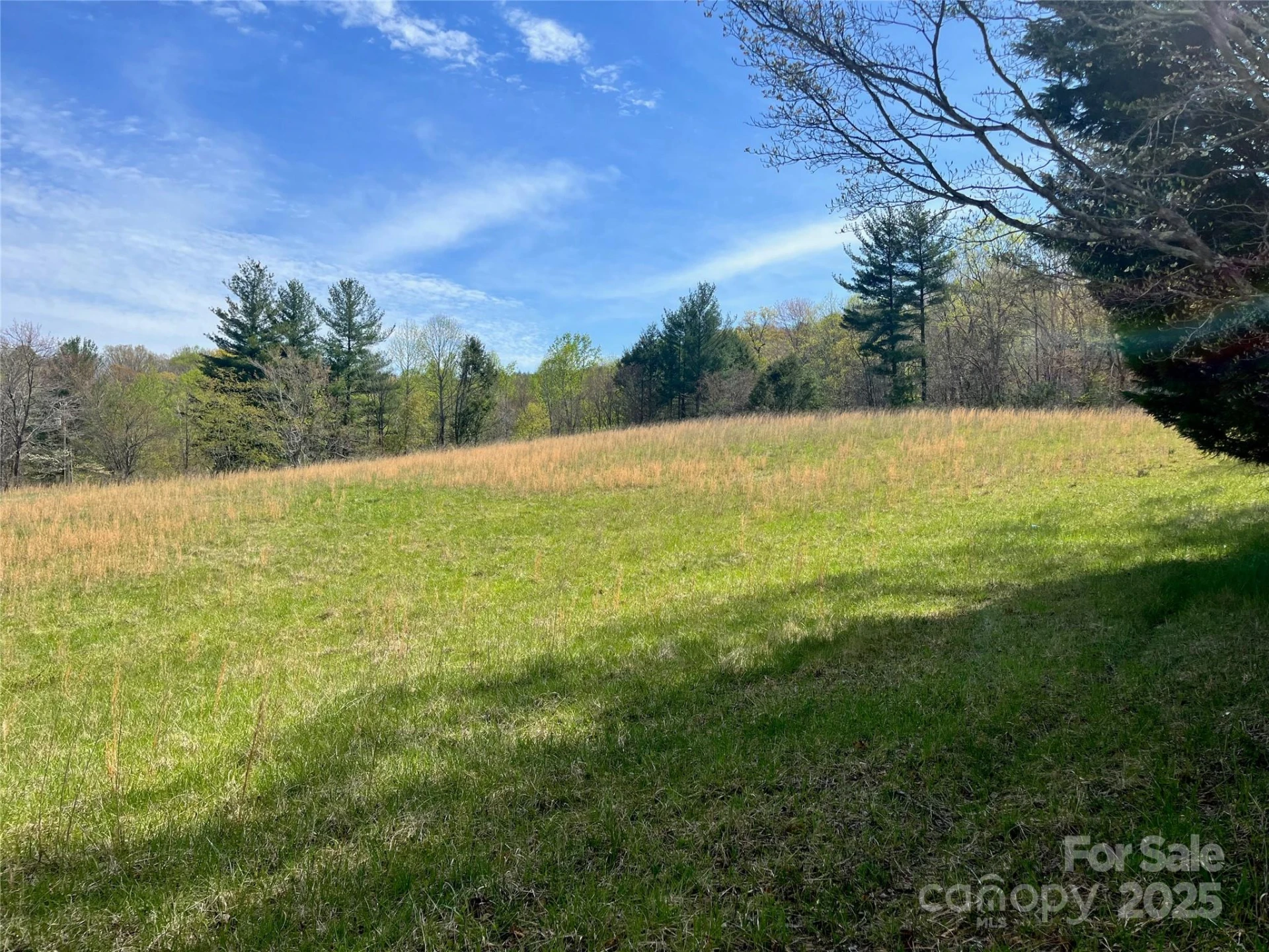 99999 Lollis Road - Photo 3