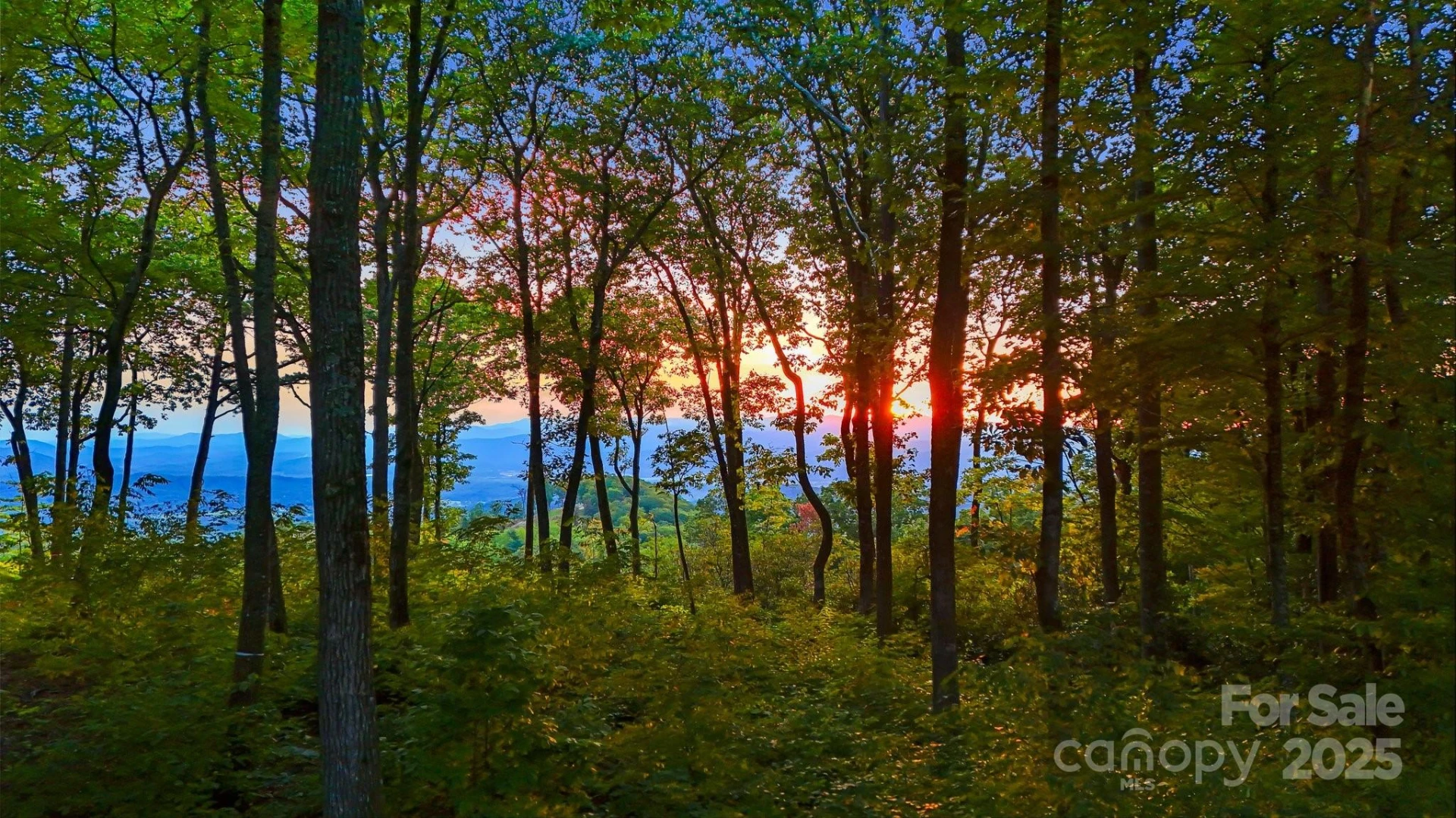 0 Mountain Grove Lane #Lot 68 - Photo 2