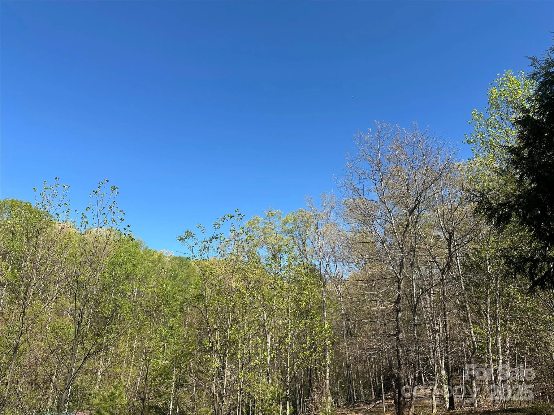 V/L Country Acres Drive - Photo 5