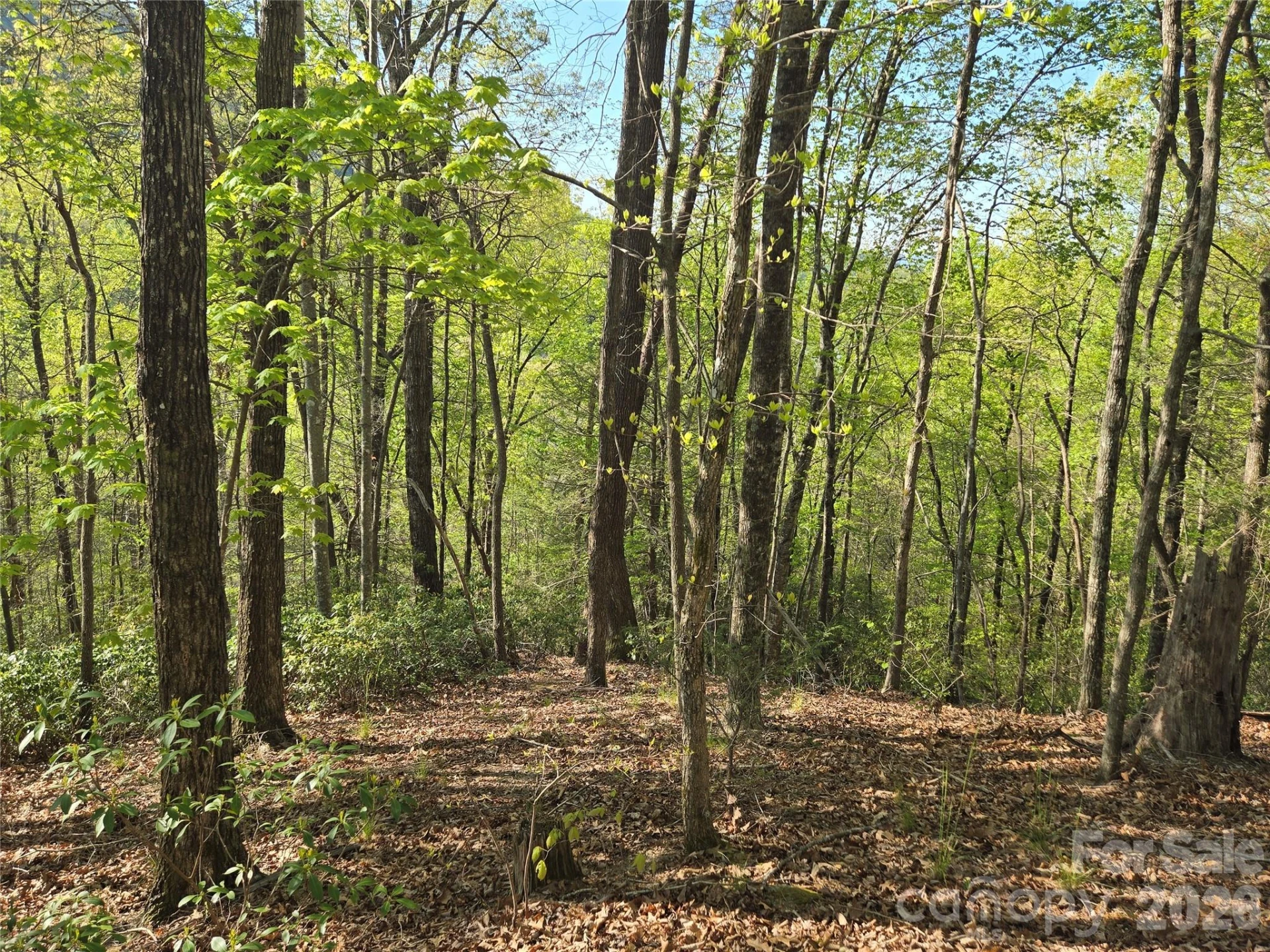Lot 164 Spanarkel Lane - Photo 2