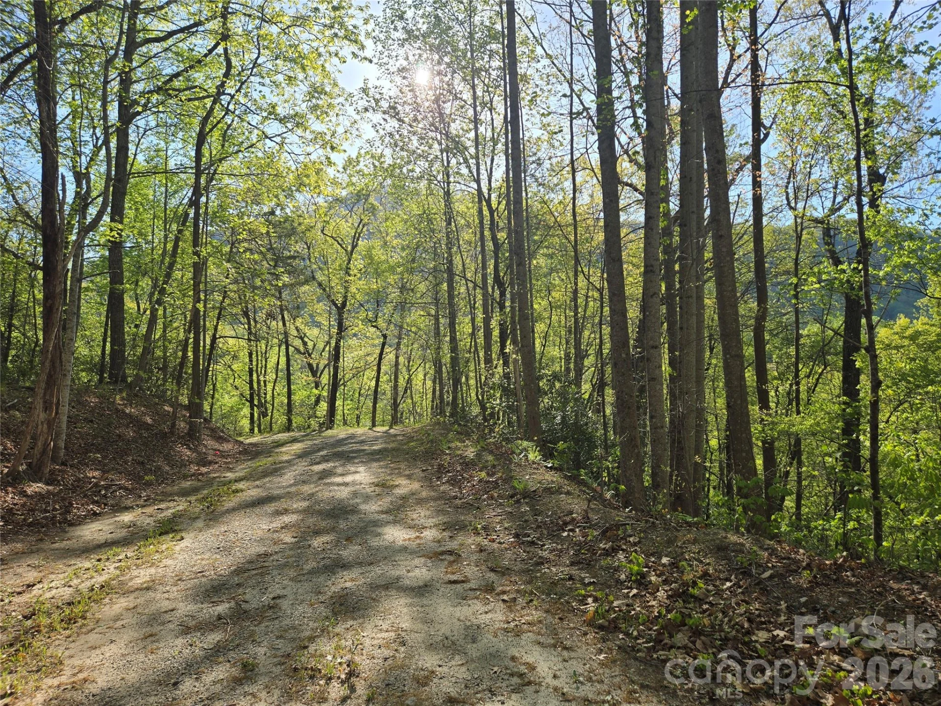 Lot 164 Spanarkel Lane - Photo 4