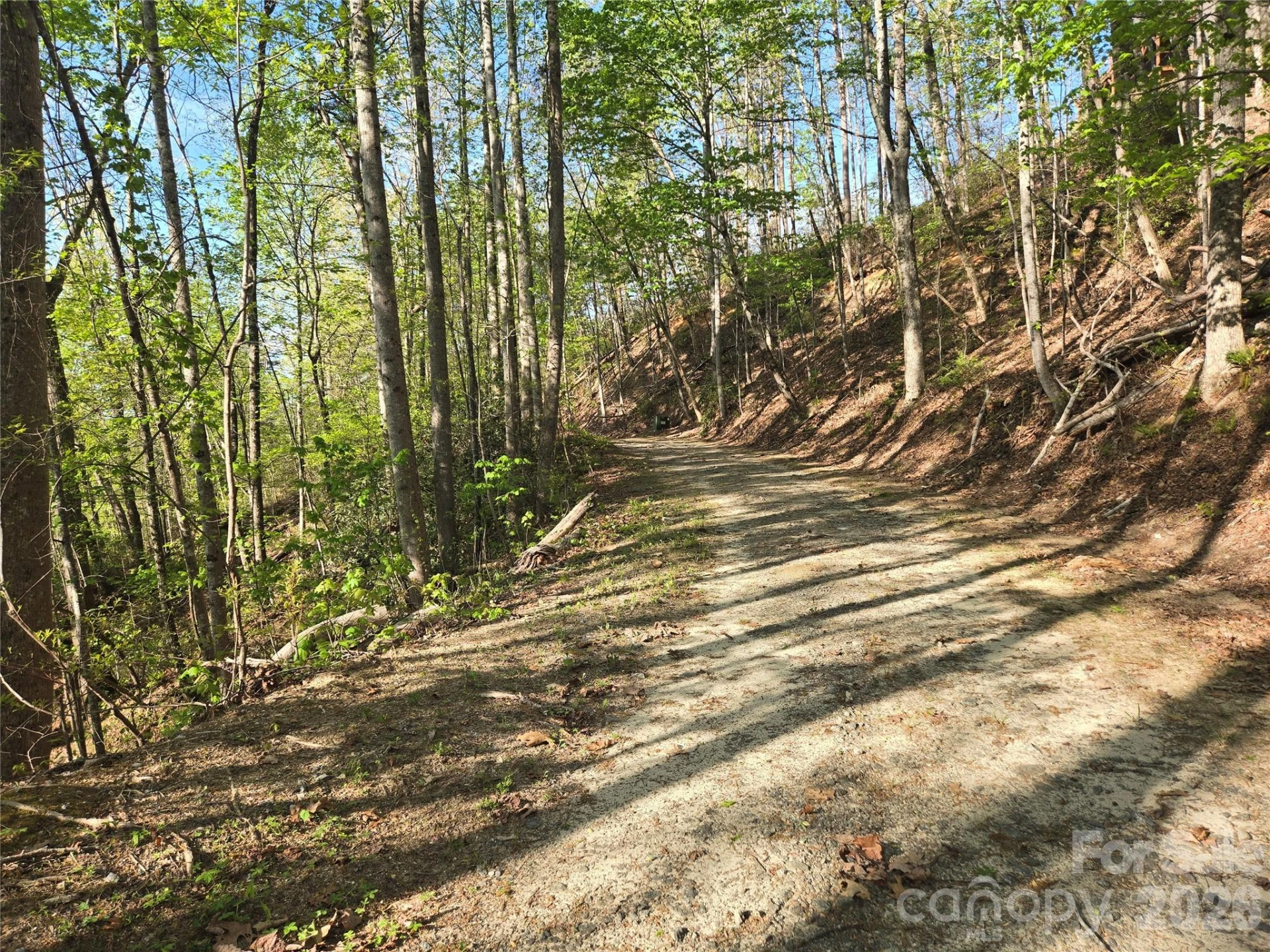Lot 164 Spanarkel Lane - Photo 7