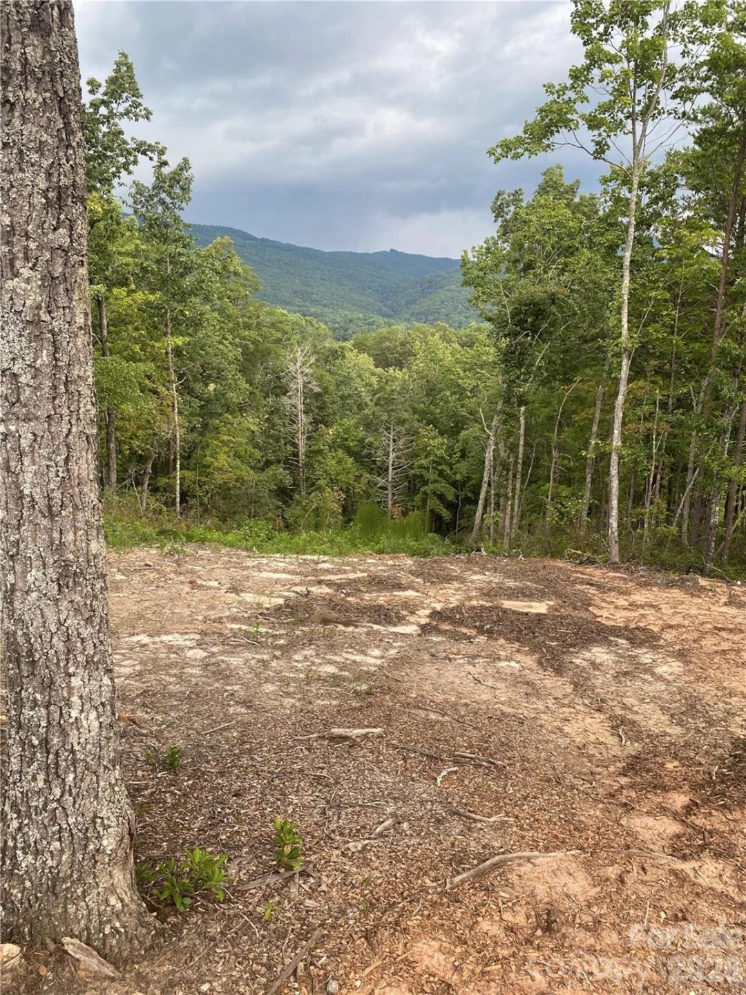 1 Jackson Ridge Lane - Photo 2