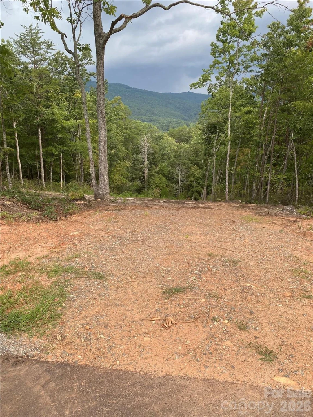1 Jackson Ridge Lane - Photo 3