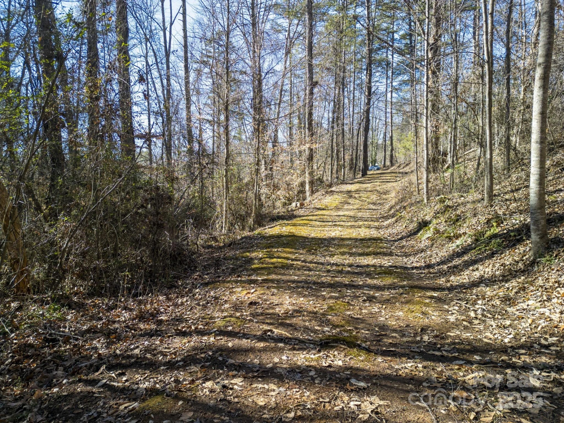 99999 Monticello Road - Photo 3