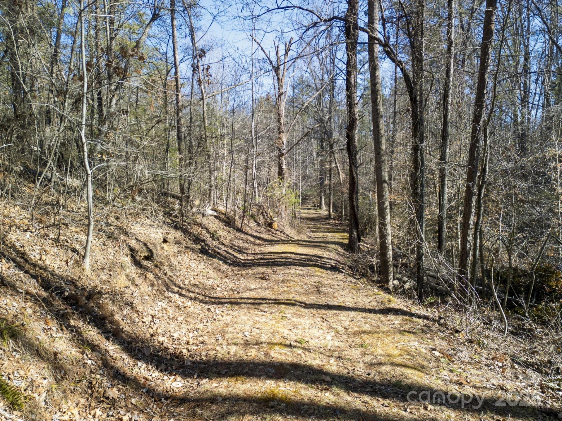 99999 Monticello Road - Photo 7
