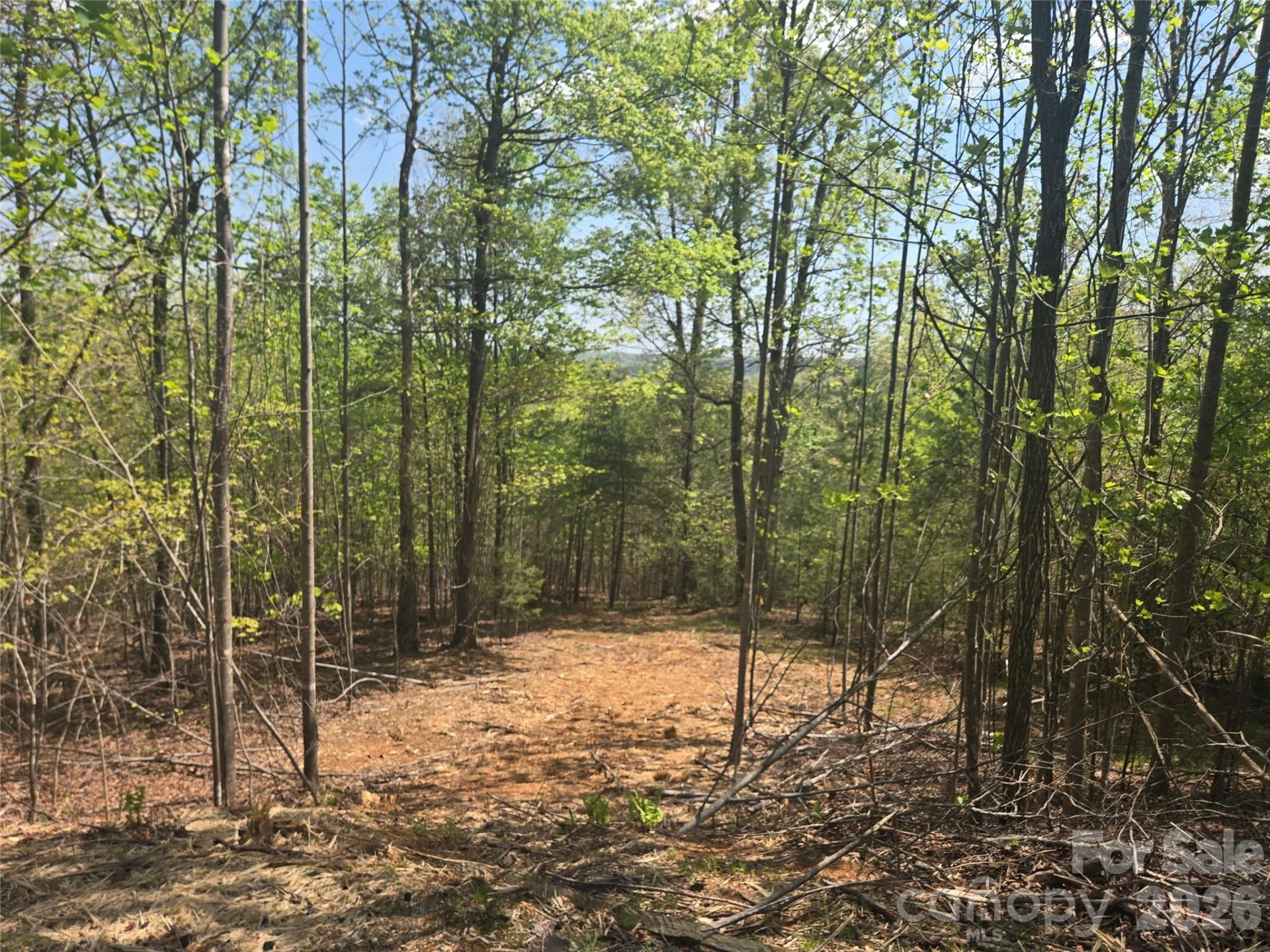 Lot 13 Back Hollow Drive