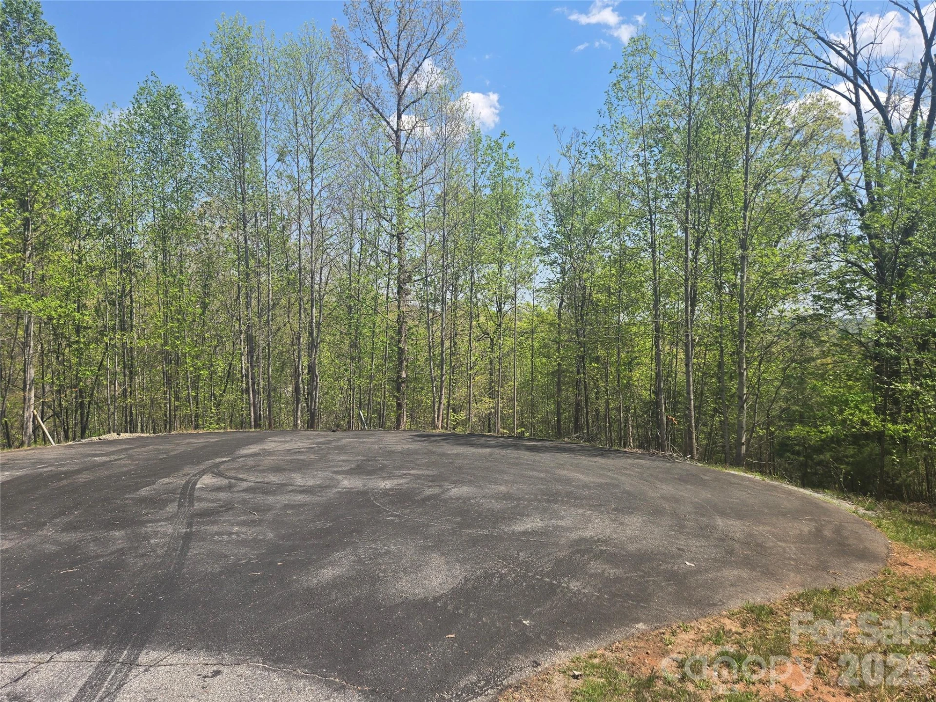 Lot 13 Back Hollow Drive - Photo 3