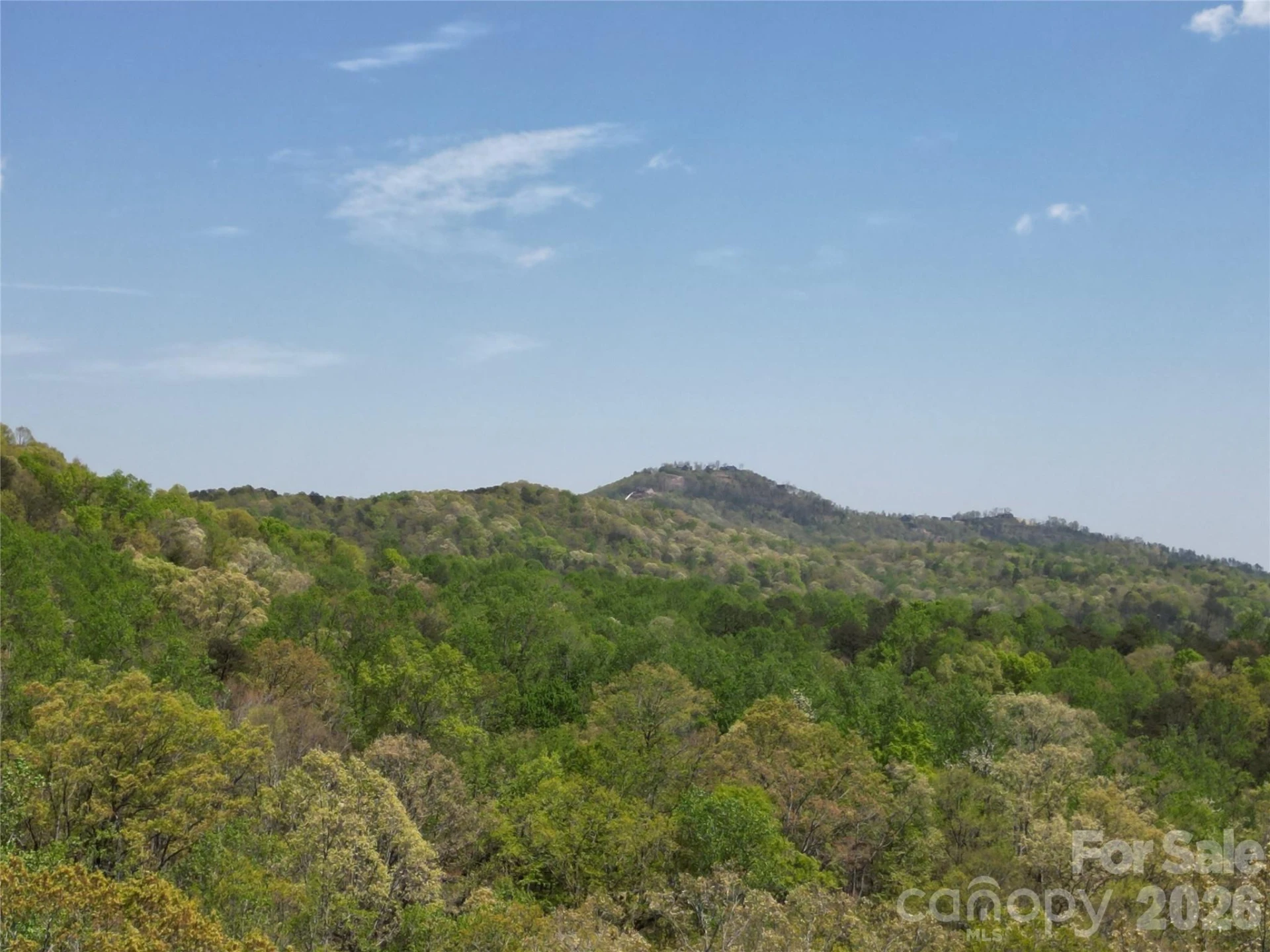 Lot 13 Back Hollow Drive - Photo 4