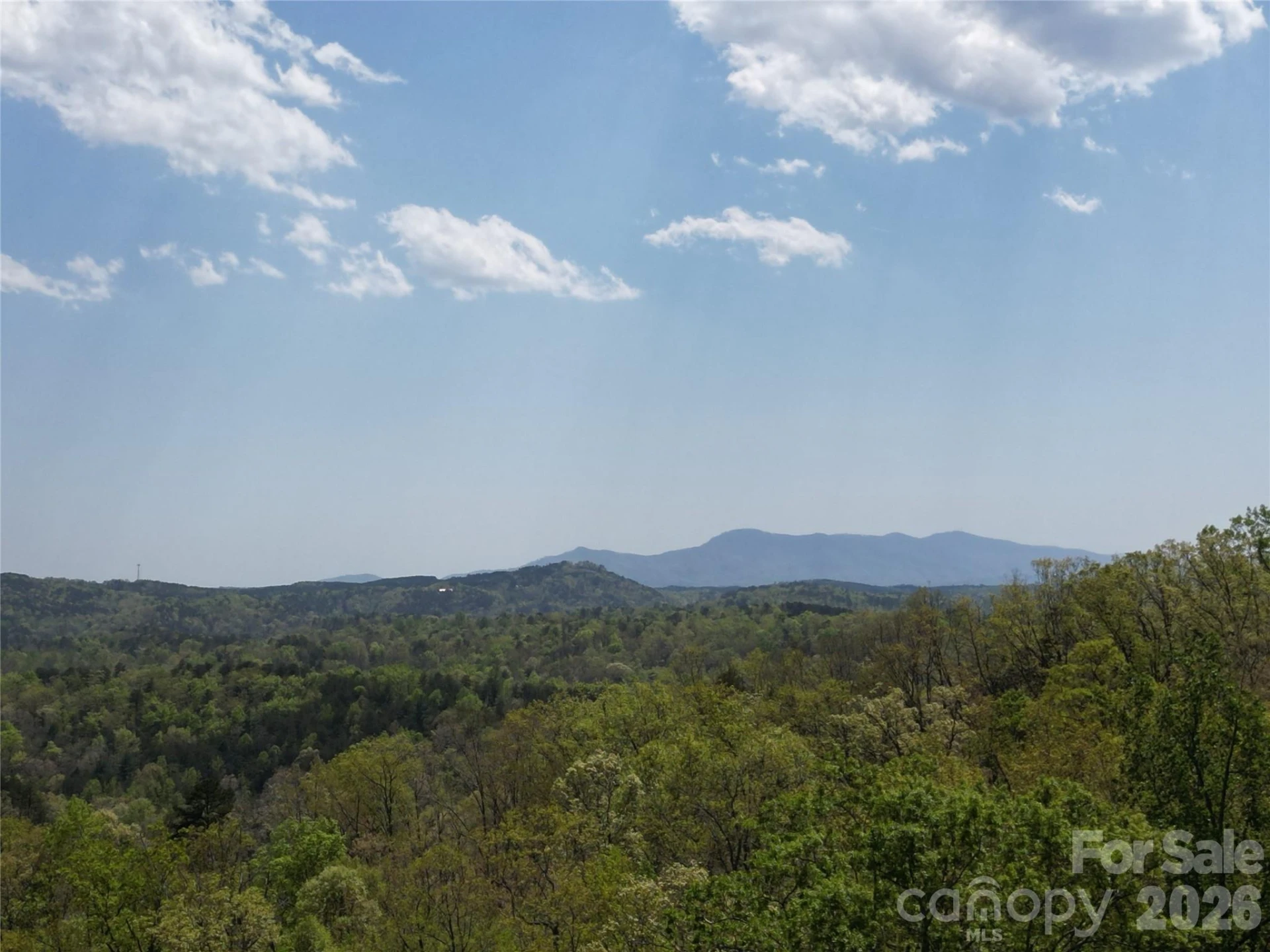 Lot 13 Back Hollow Drive - Photo 5