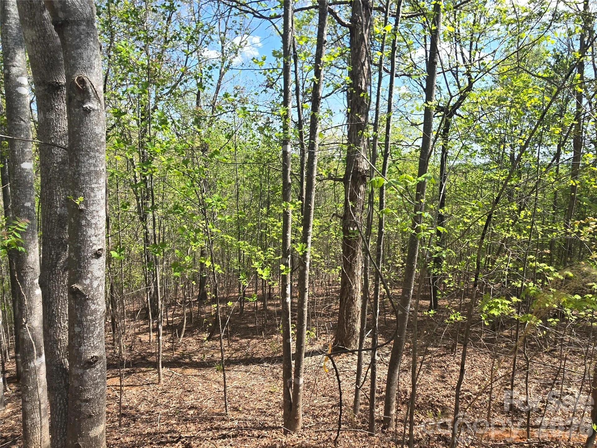 Lot 13 Back Hollow Drive - Photo 6