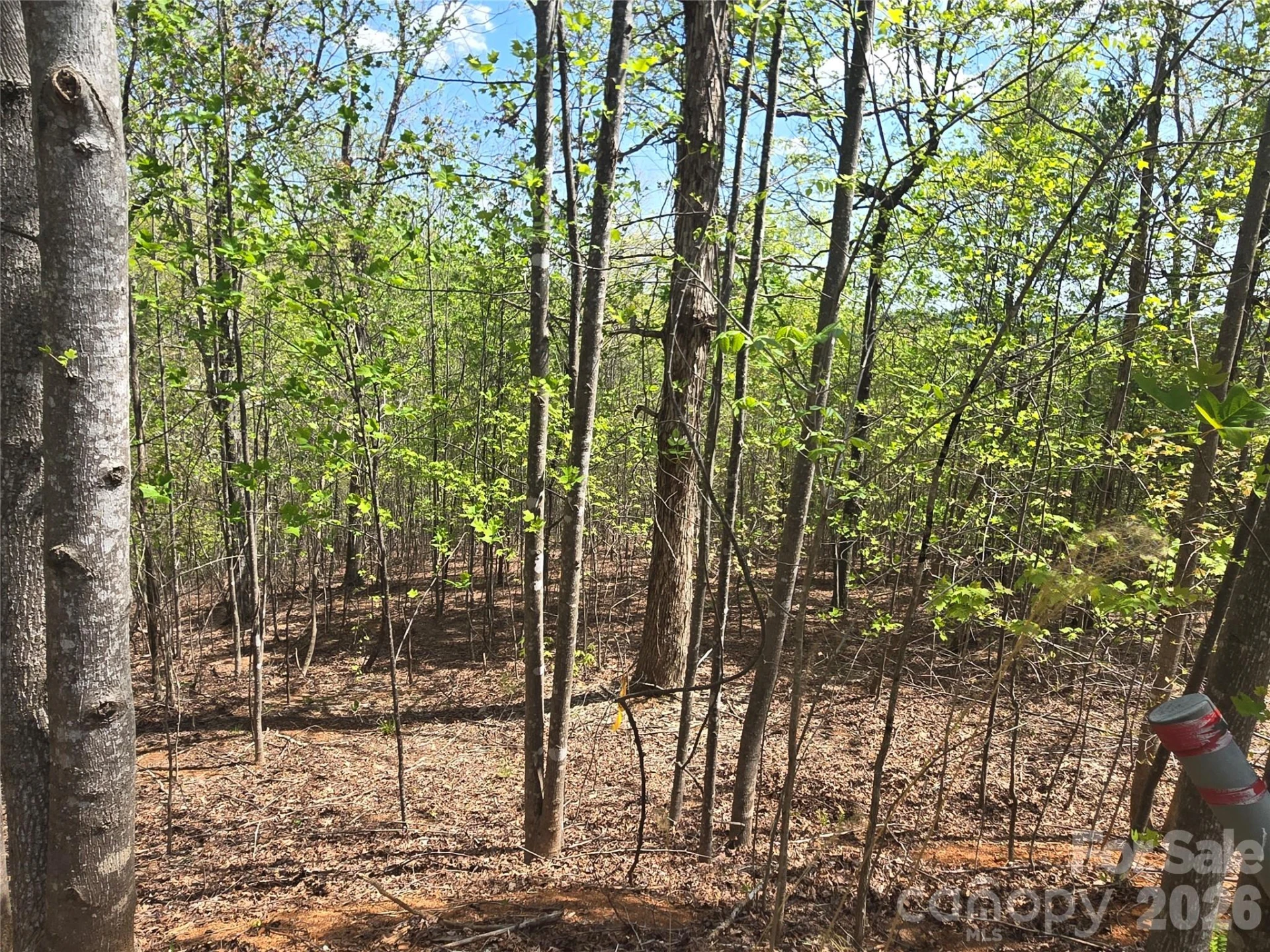 Lot 13 Back Hollow Drive - Photo 7