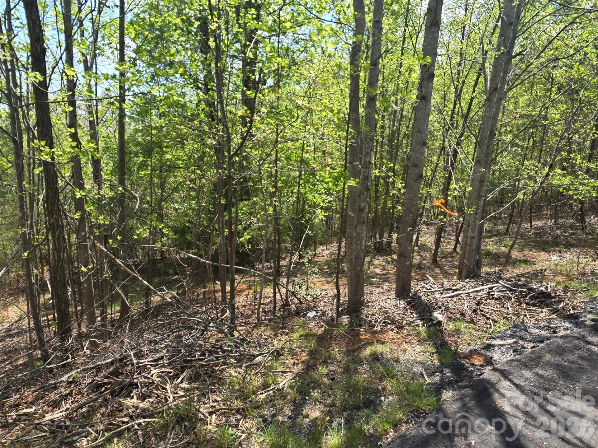 Lot 13 Back Hollow Drive - Photo 8