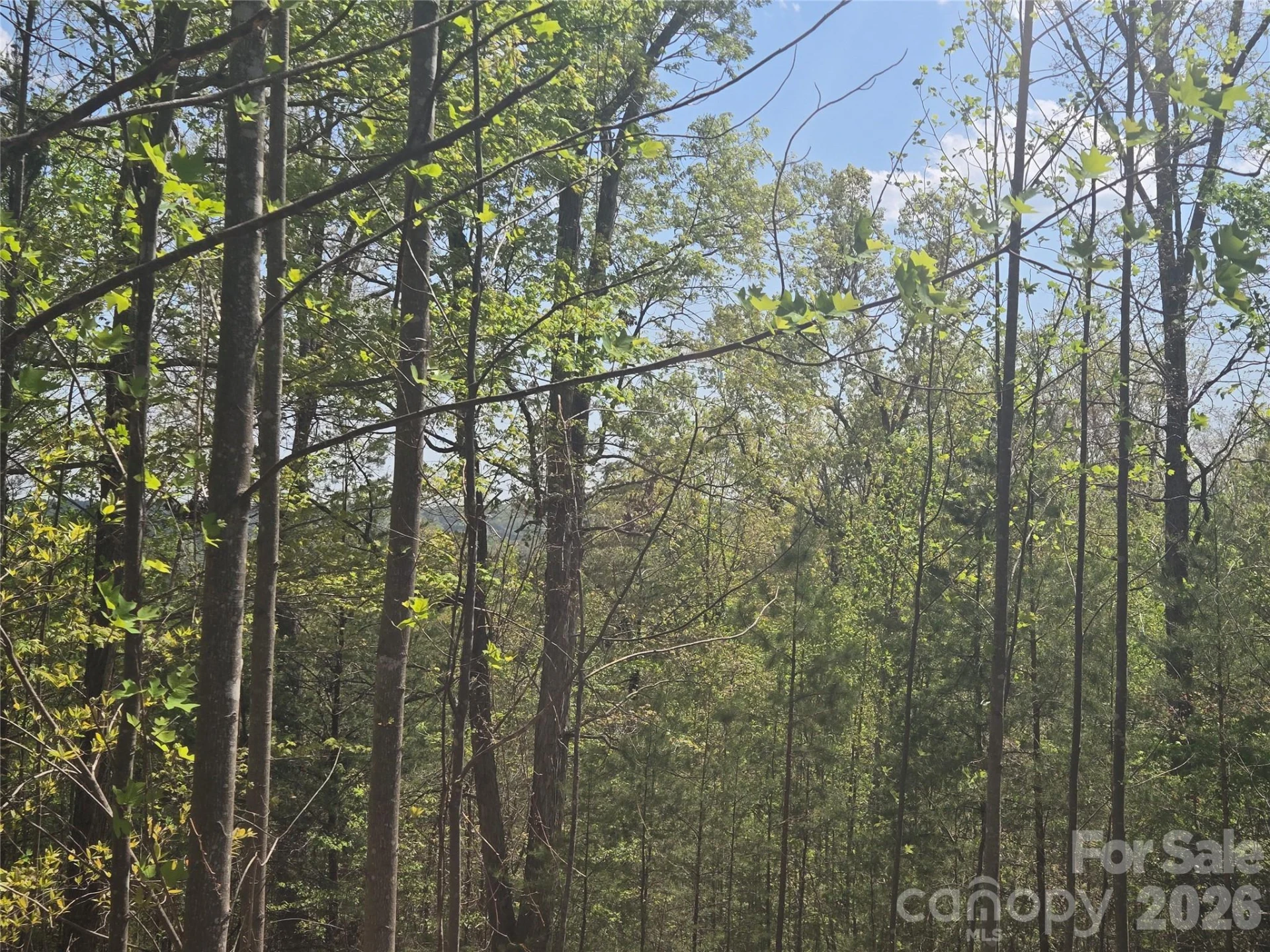 Lot 13 Back Hollow Drive - Photo 9