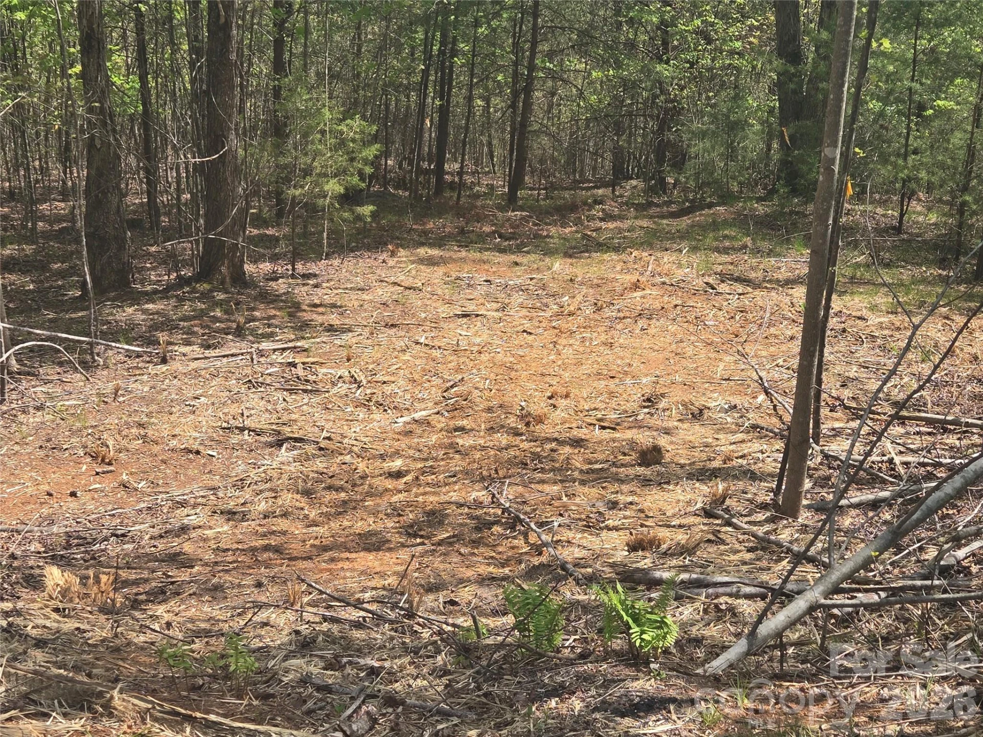 Lot 13 Back Hollow Drive - Photo 10