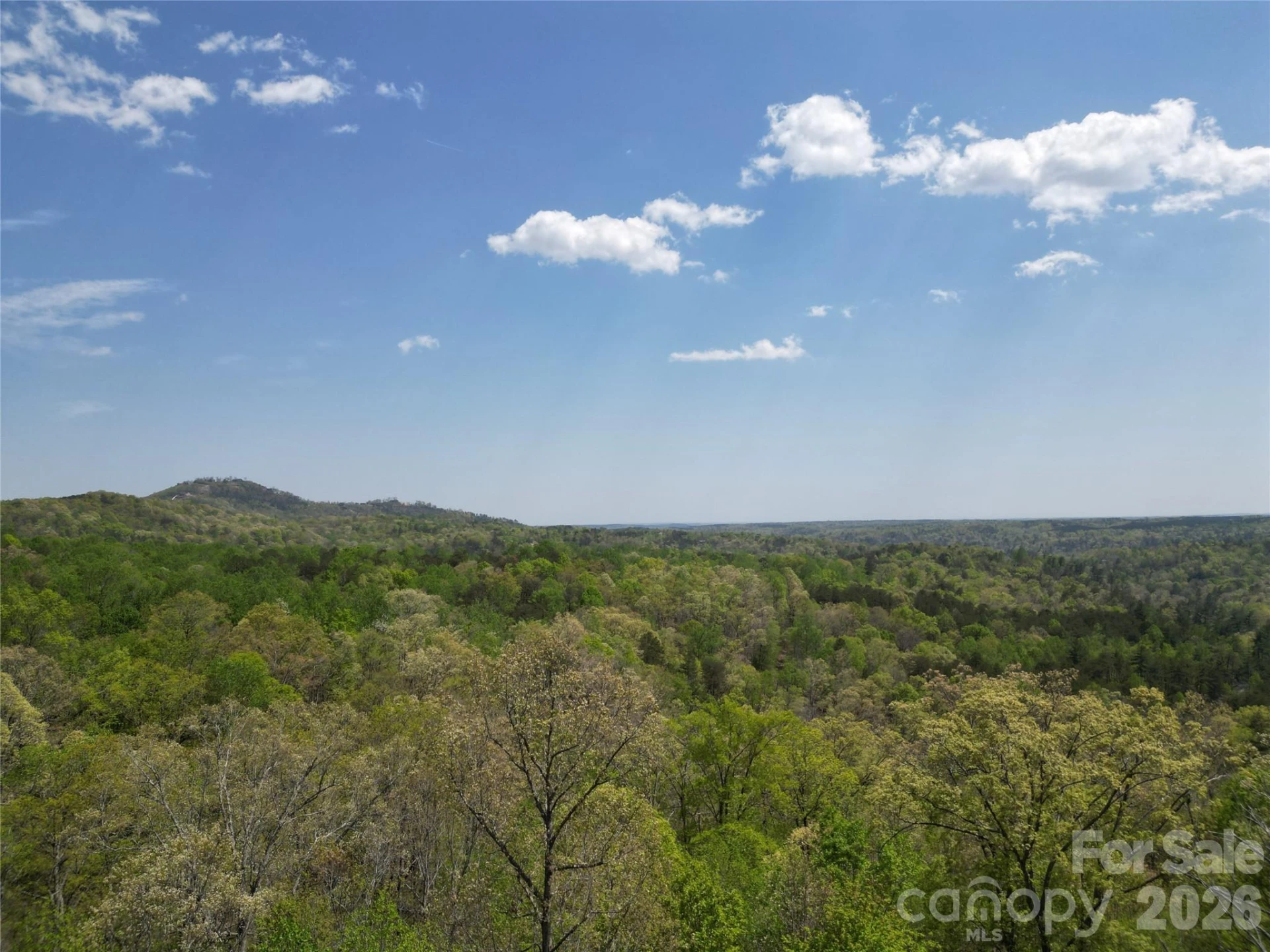 Lot 13 Back Hollow Drive - Photo 11