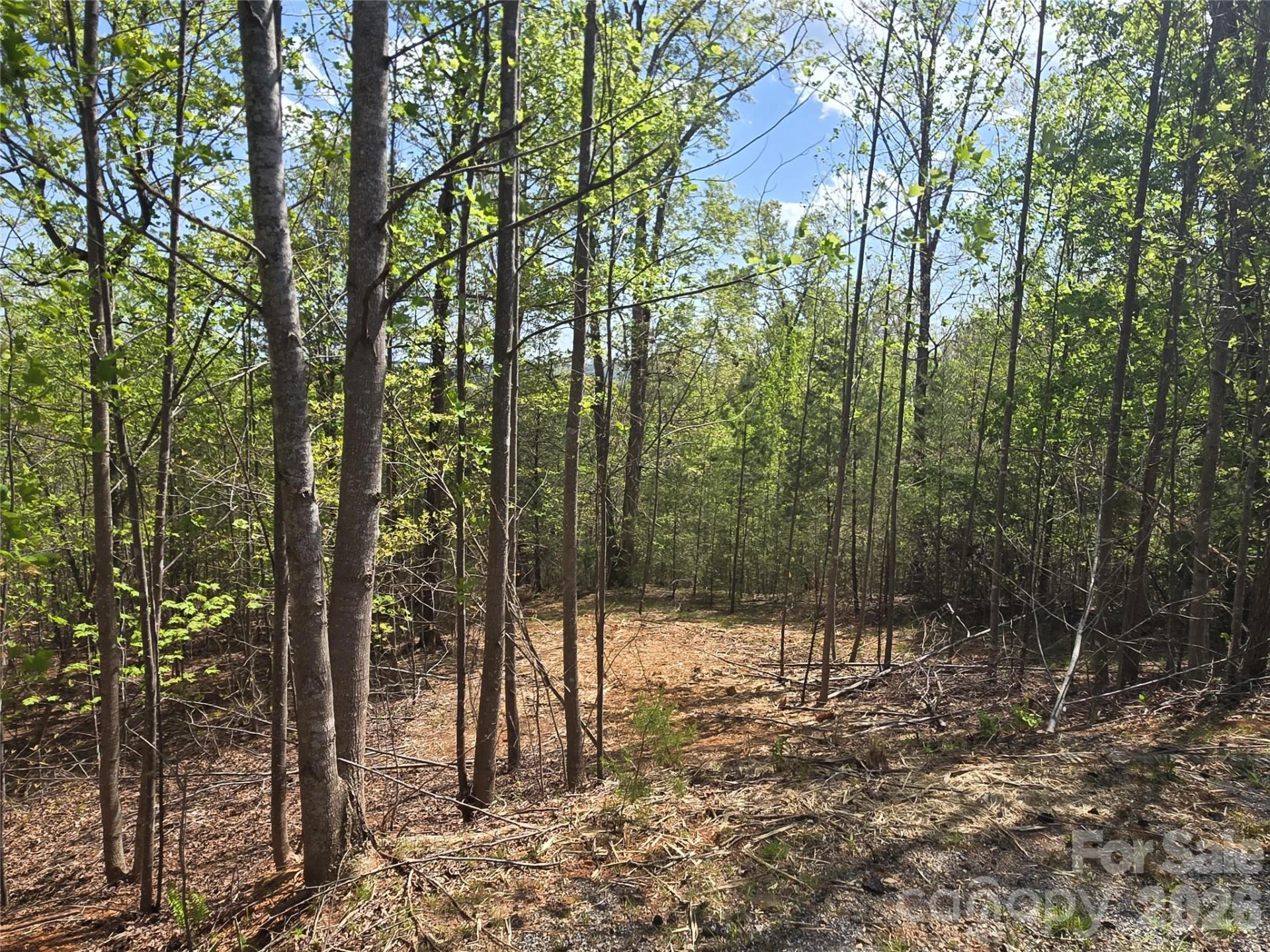 Lot 13 Back Hollow Drive - Photo 12