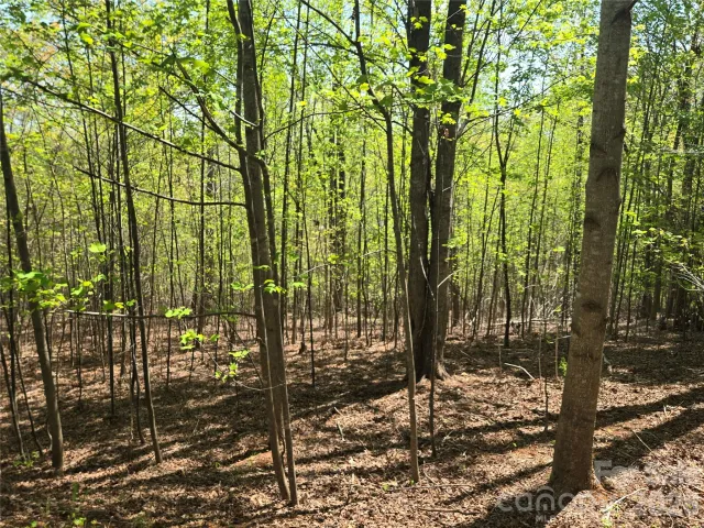 Lot 14 Back Hollow Drive