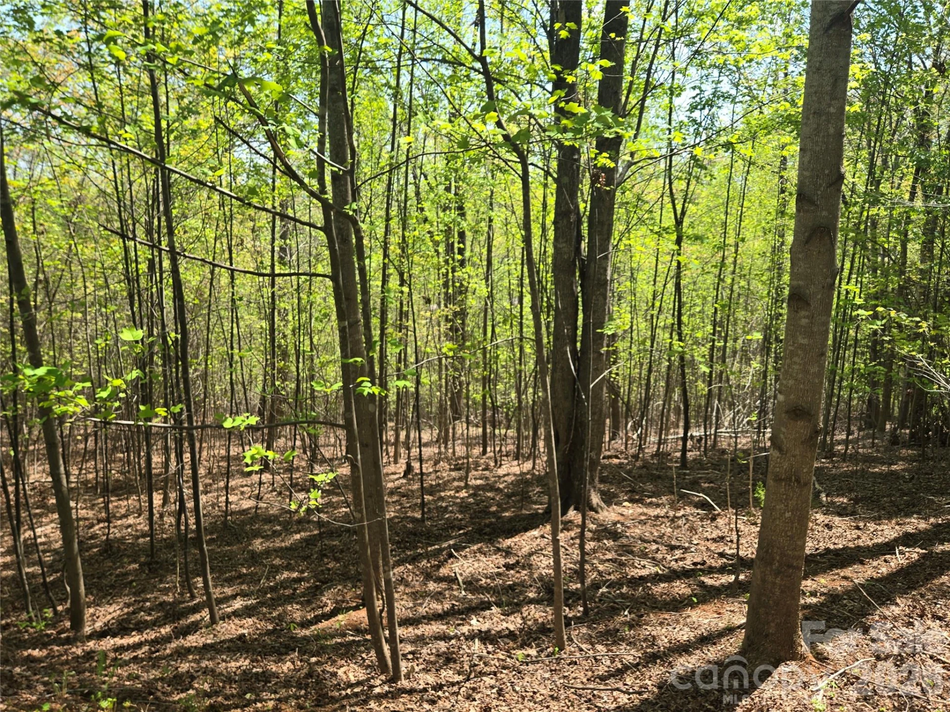 Lot 14 Back Hollow Drive