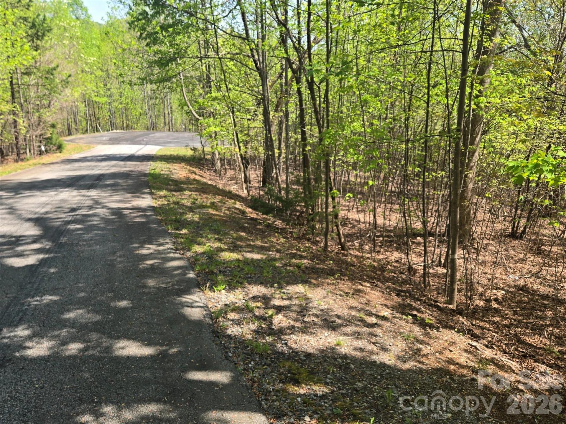 Lot 14 Back Hollow Drive - Photo 3