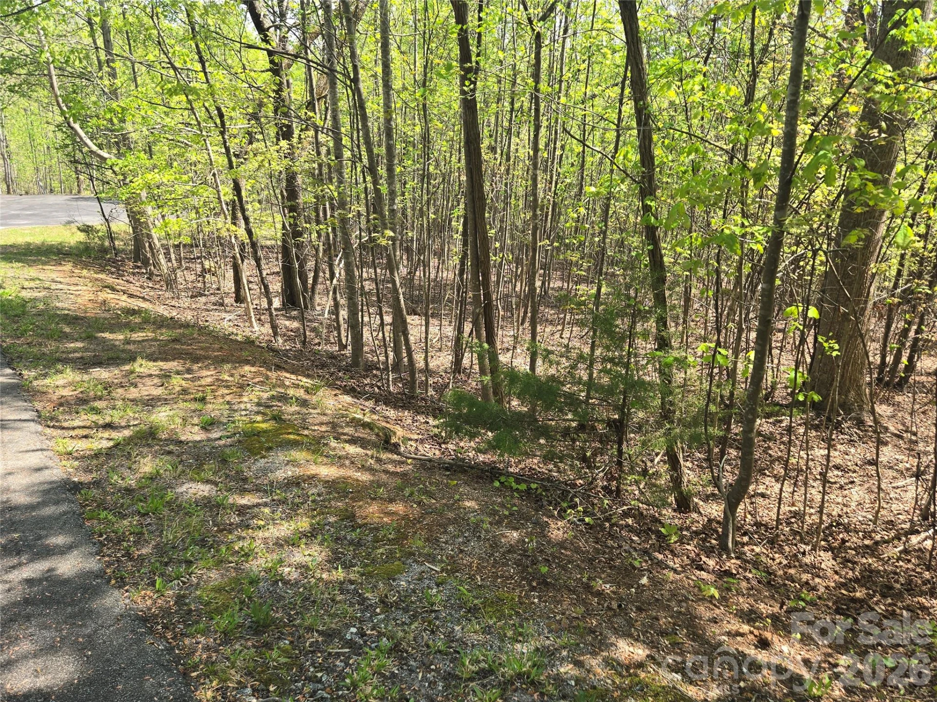 Lot 14 Back Hollow Drive - Photo 4