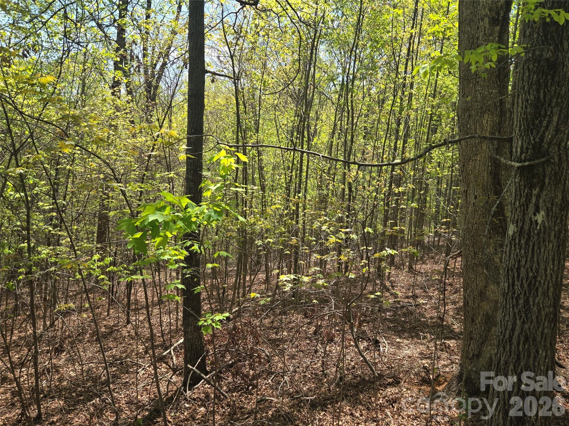 Lot 14 Back Hollow Drive - Photo 6