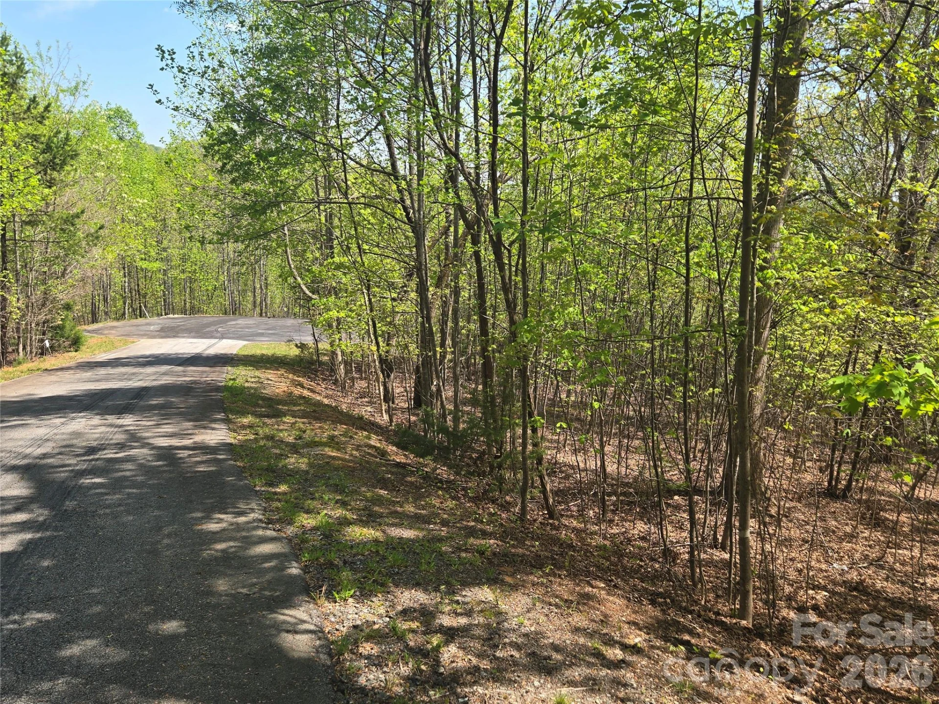 Lot 14 Back Hollow Drive - Photo 7