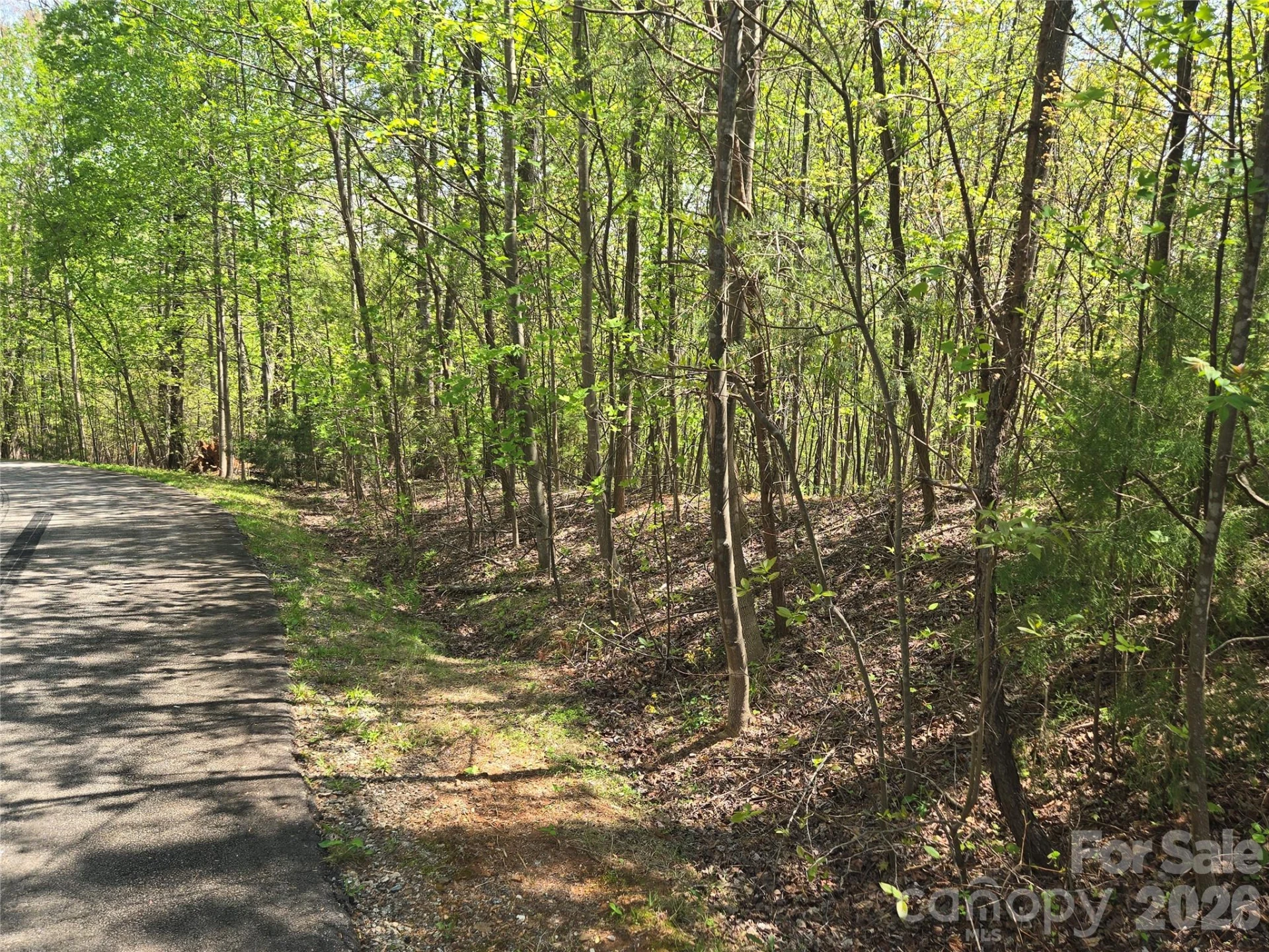 Lot 15 Touch Me Not Trail