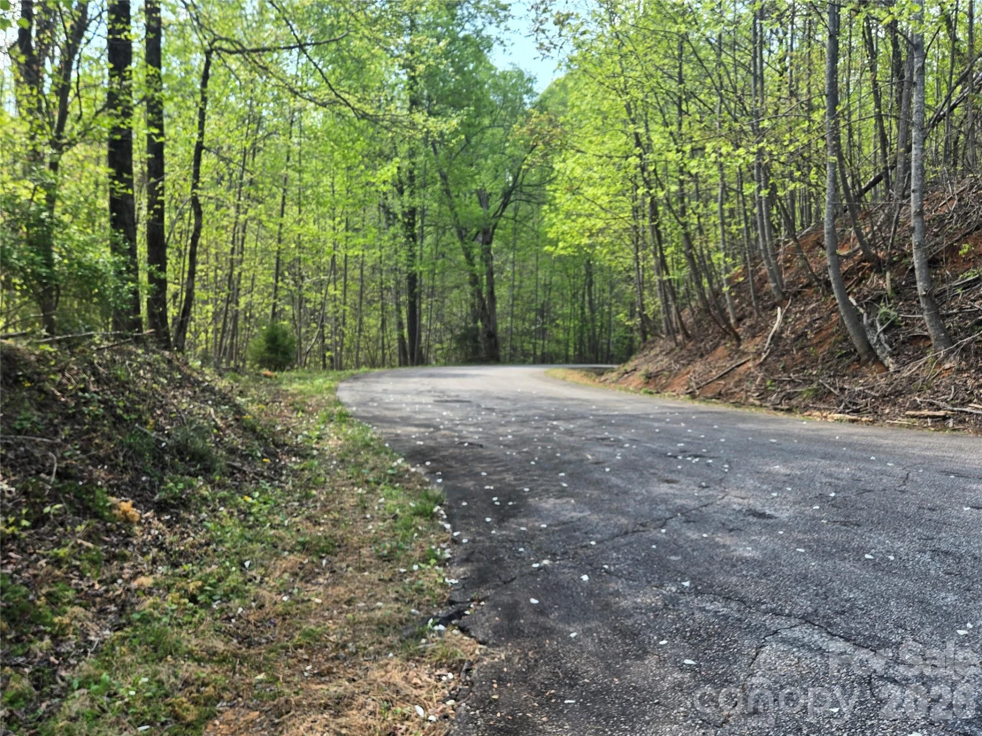 Lot 15 Touch Me Not Trail - Photo 3