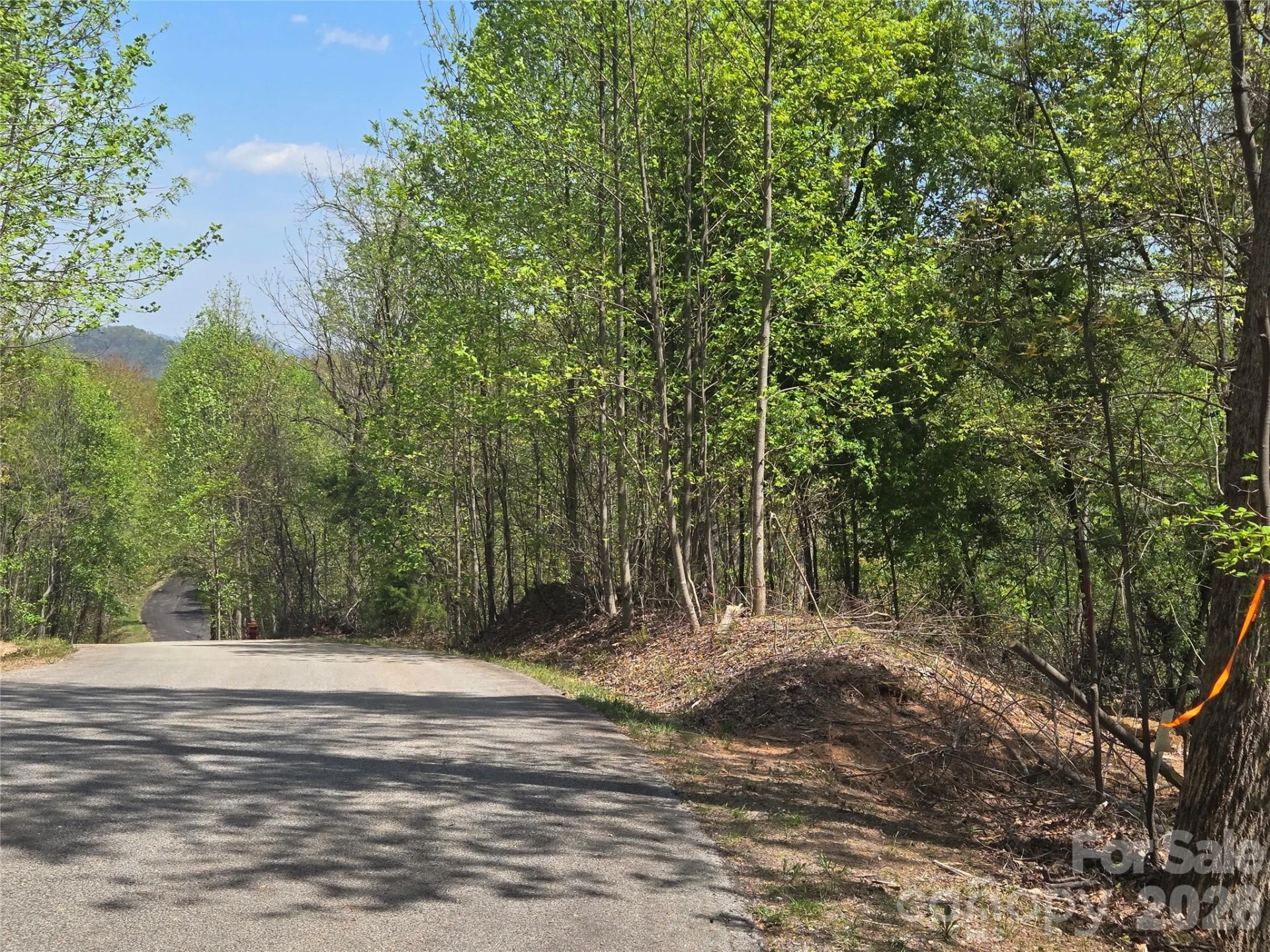 Lot 16 High Rock Ridge - Photo 3