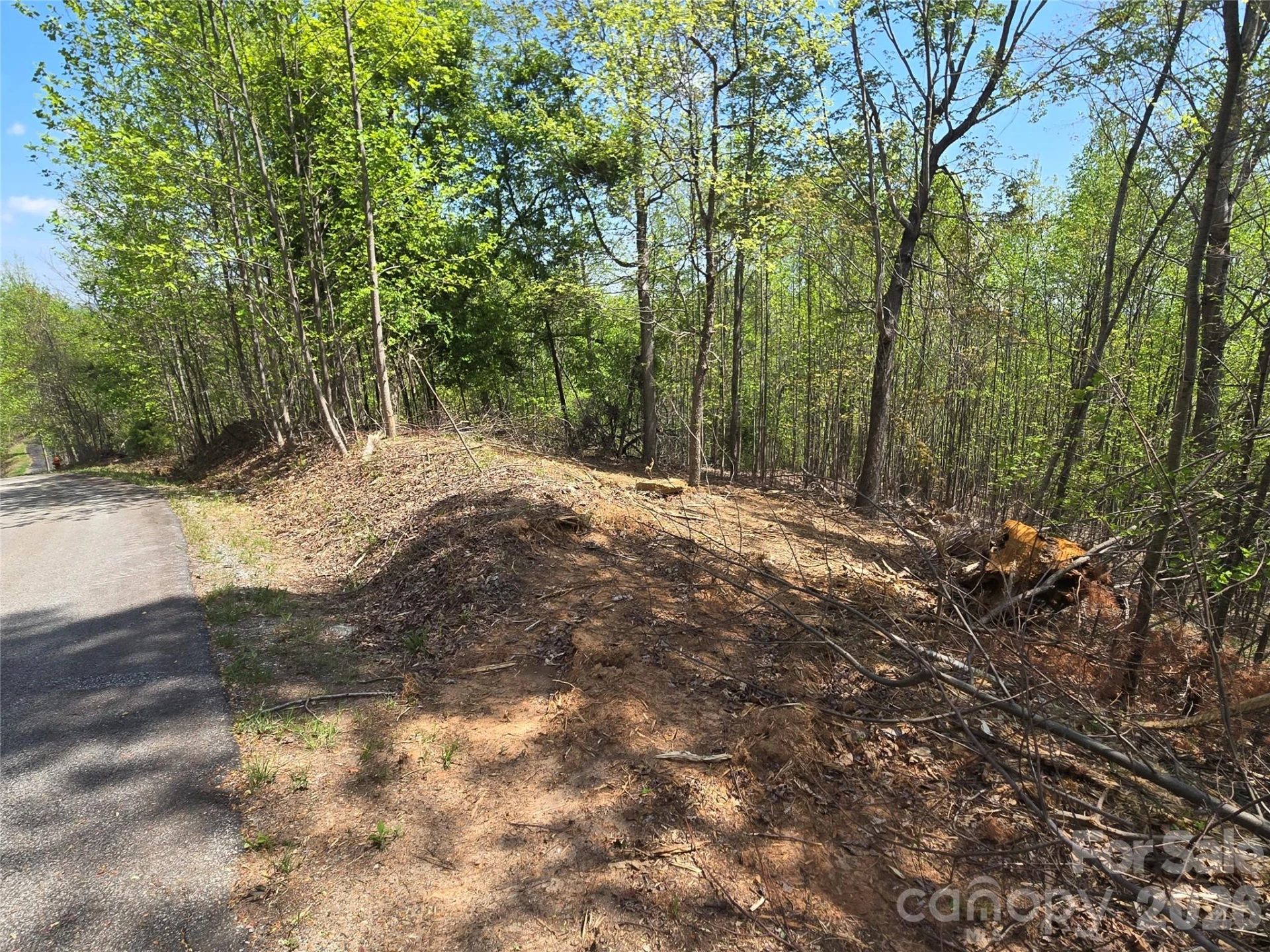 Lot 16 High Rock Ridge - Photo 7