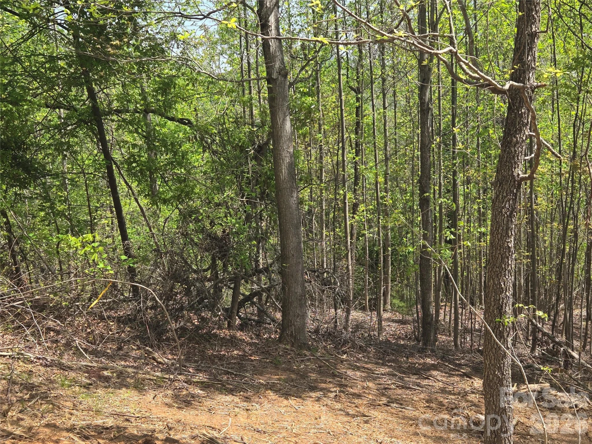 Lot 16 High Rock Ridge - Photo 8