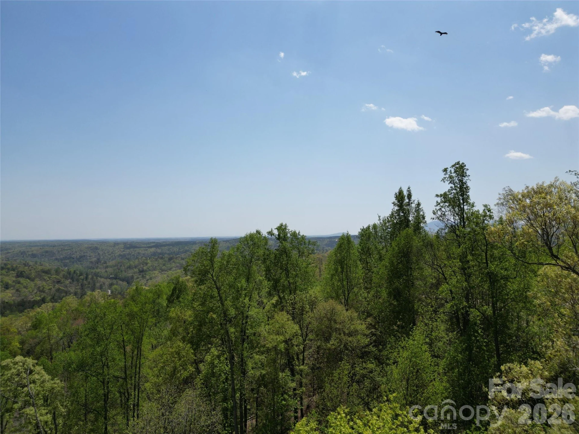 Lot 16 High Rock Ridge - Photo 9