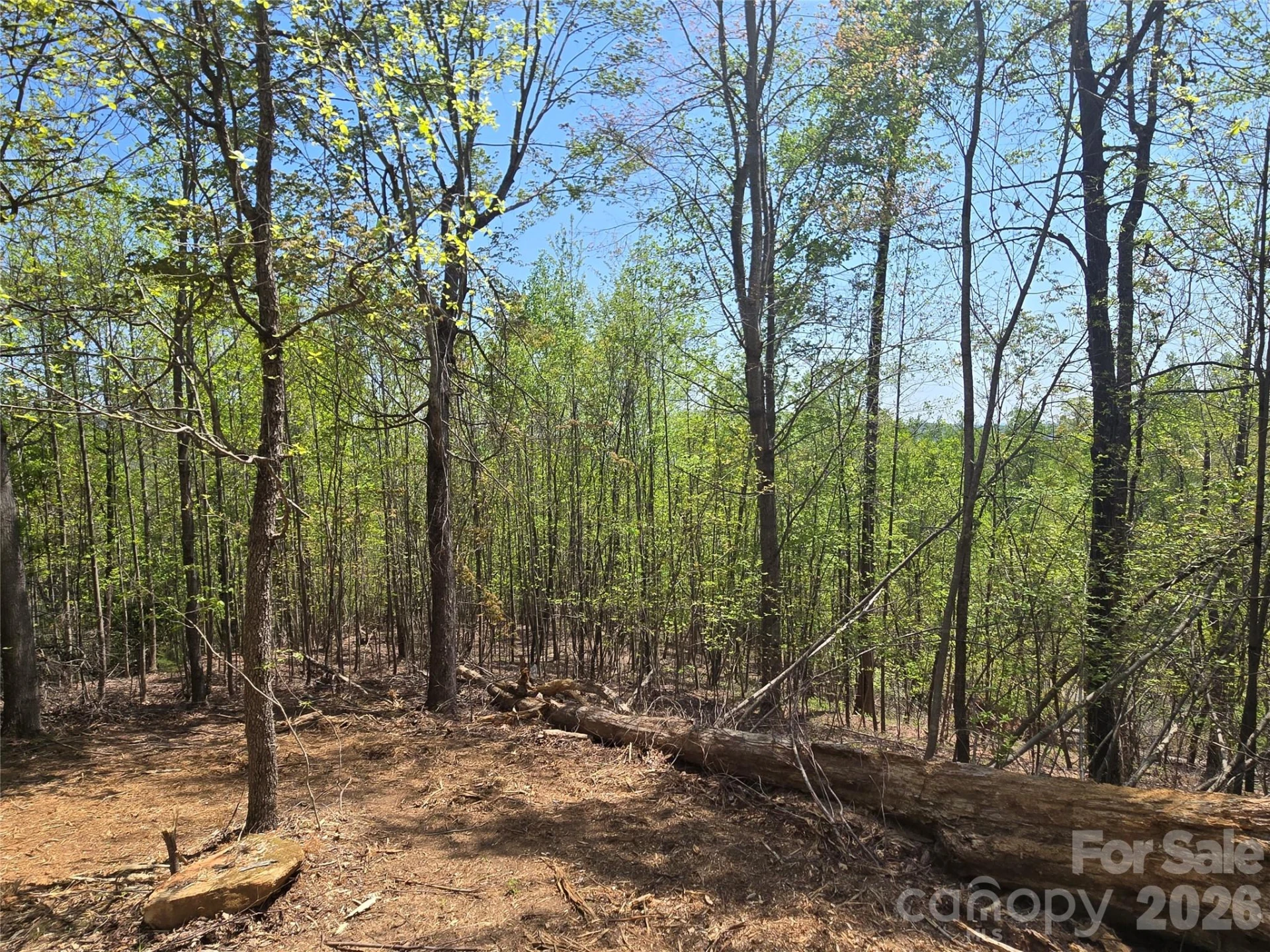 Lot 16 High Rock Ridge - Photo 10