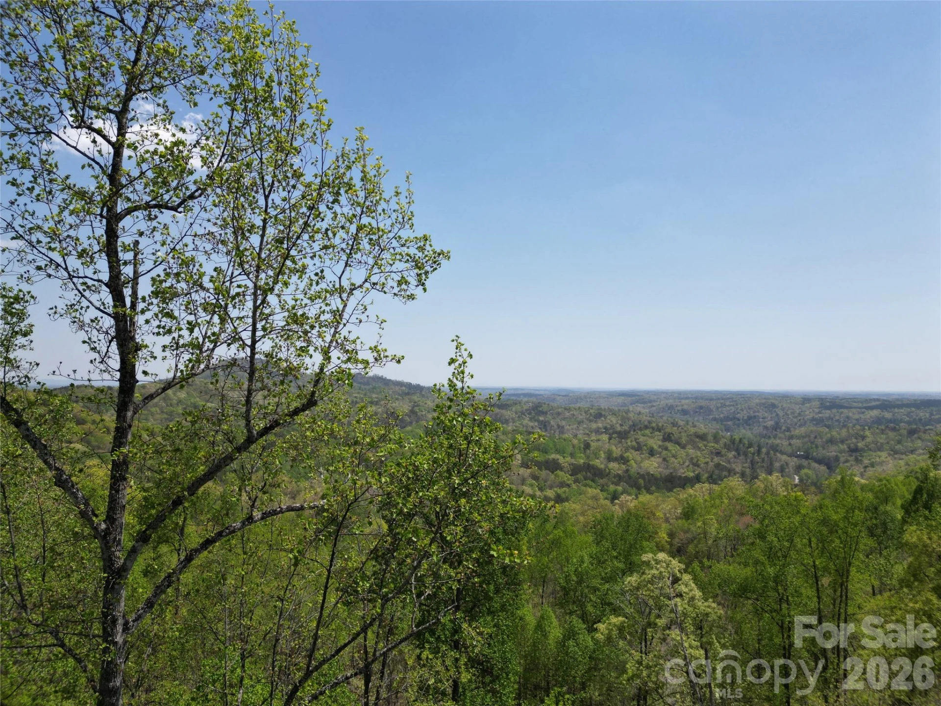 Lot 16 High Rock Ridge - Photo 13
